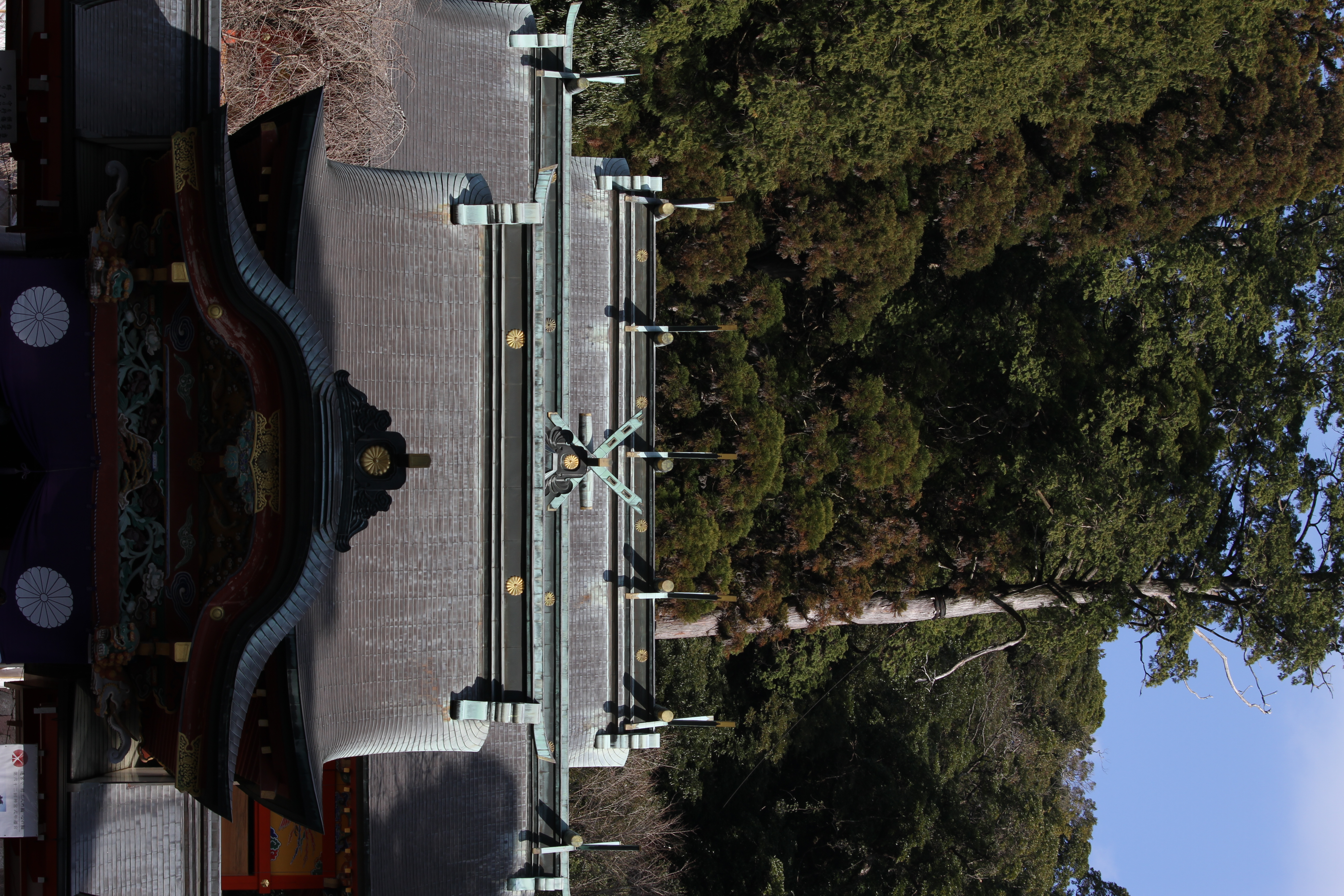 <b>EOS 7D / 70-300mm F4-5.6 DG OS / 約7.7MB / 3,456×5,184 / 1/250秒 / F8 / -0.7EV / ISO100 / WB:オート / 70mm</b>