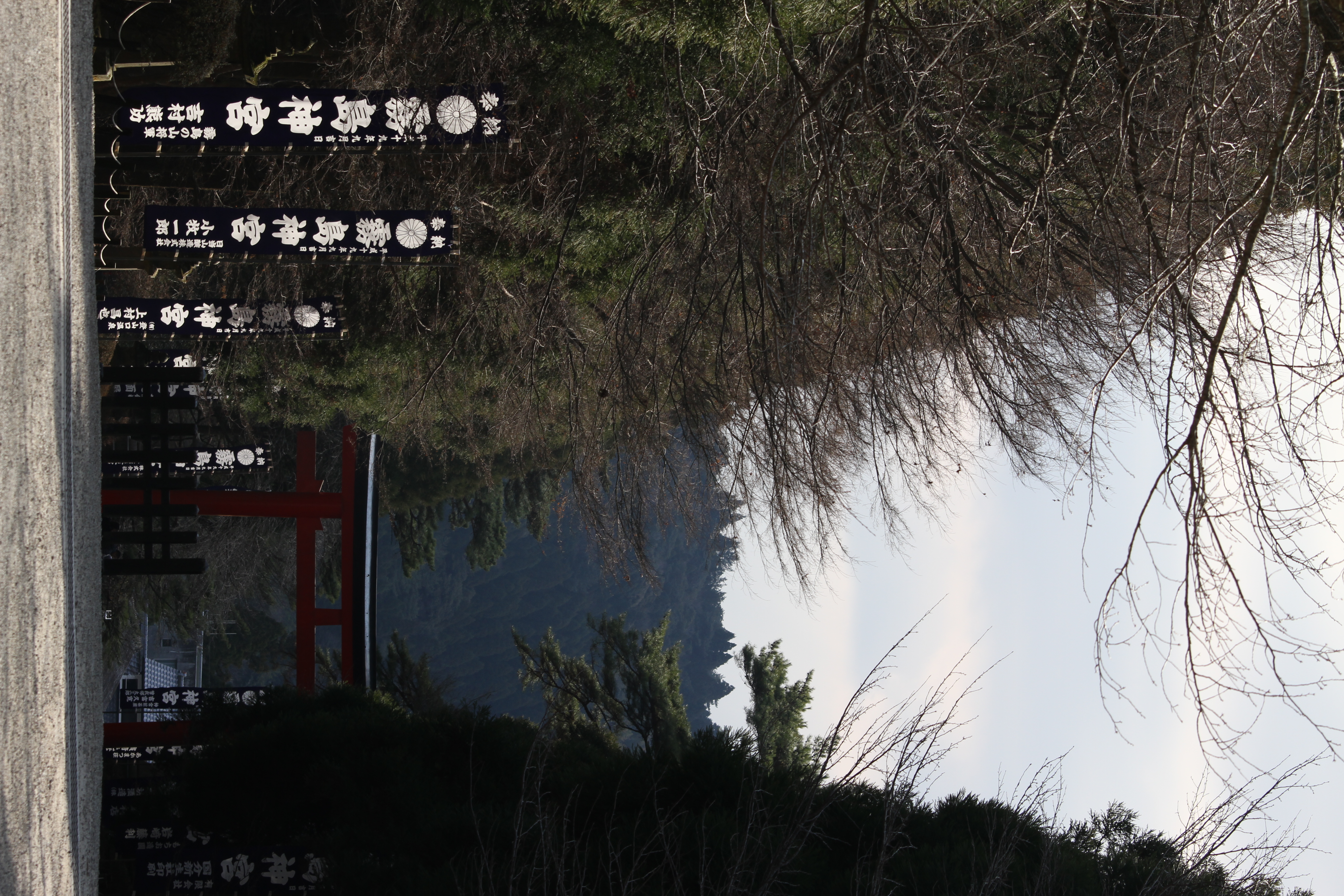 <b>EOS 7D / 70-300mm F4-5.6 DG OS / 約7.6MB / 3,456×5,184 / 1/400秒 / F8 / -0.7EV / ISO200 / WB:オート / 100mm</b>