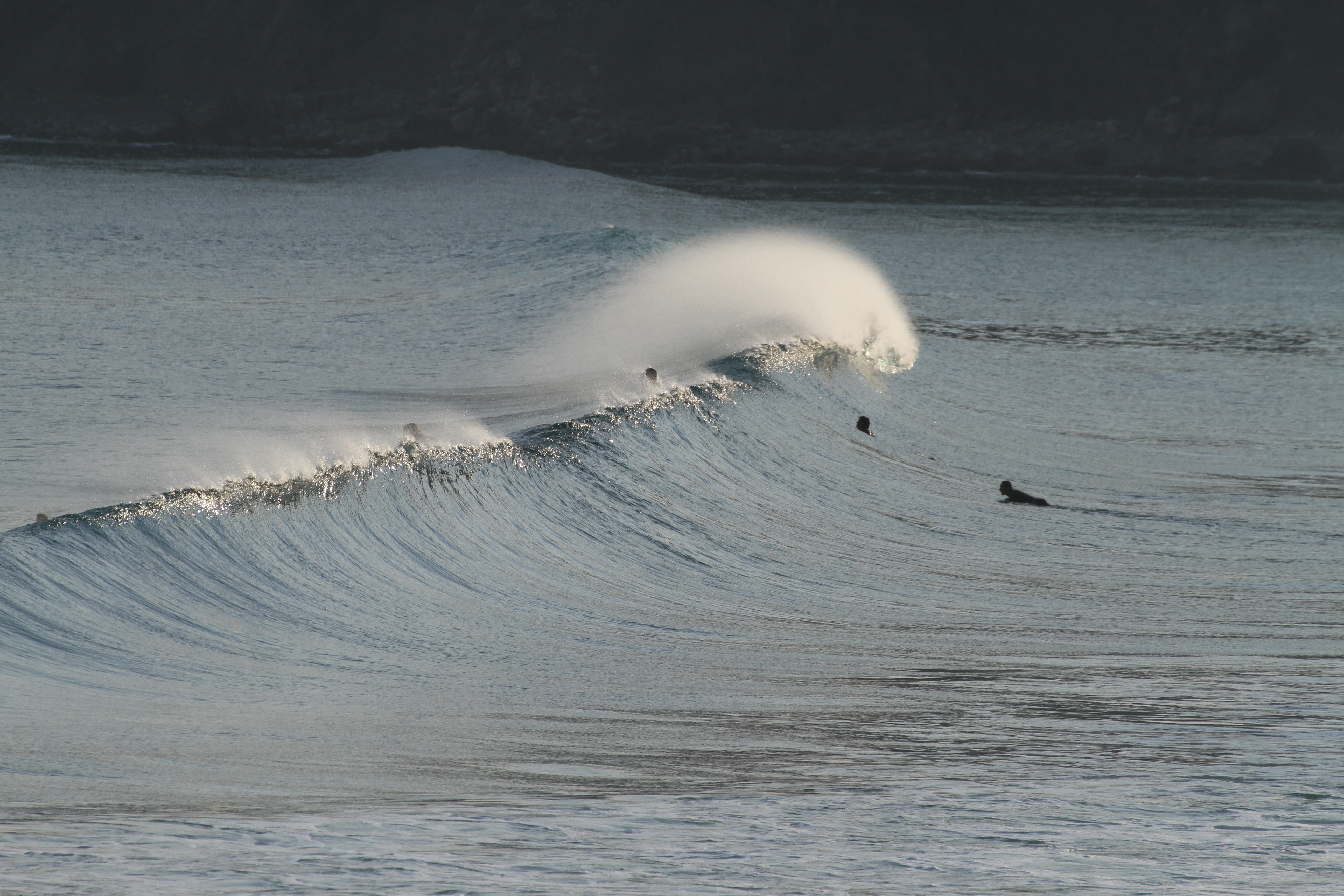 <b>EOS 7D / 70-300mm F4-5.6 DG OS / 約6.8MB / 5,184×3,456 / 1/800秒 / F8 / +0.3EV / ISO200 / WB:太陽光 / 300mm</b>