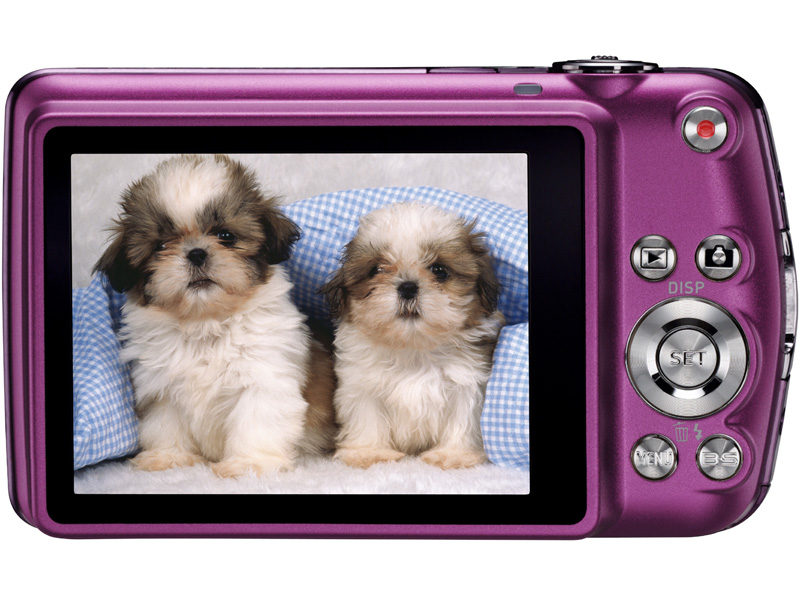 <b>EX-Z330（パープル）</b>