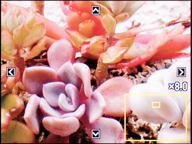 <b>拡大は最大で8倍まで。この状態で十字キーを操作するとスクロールする。あたりまえですけど</b>