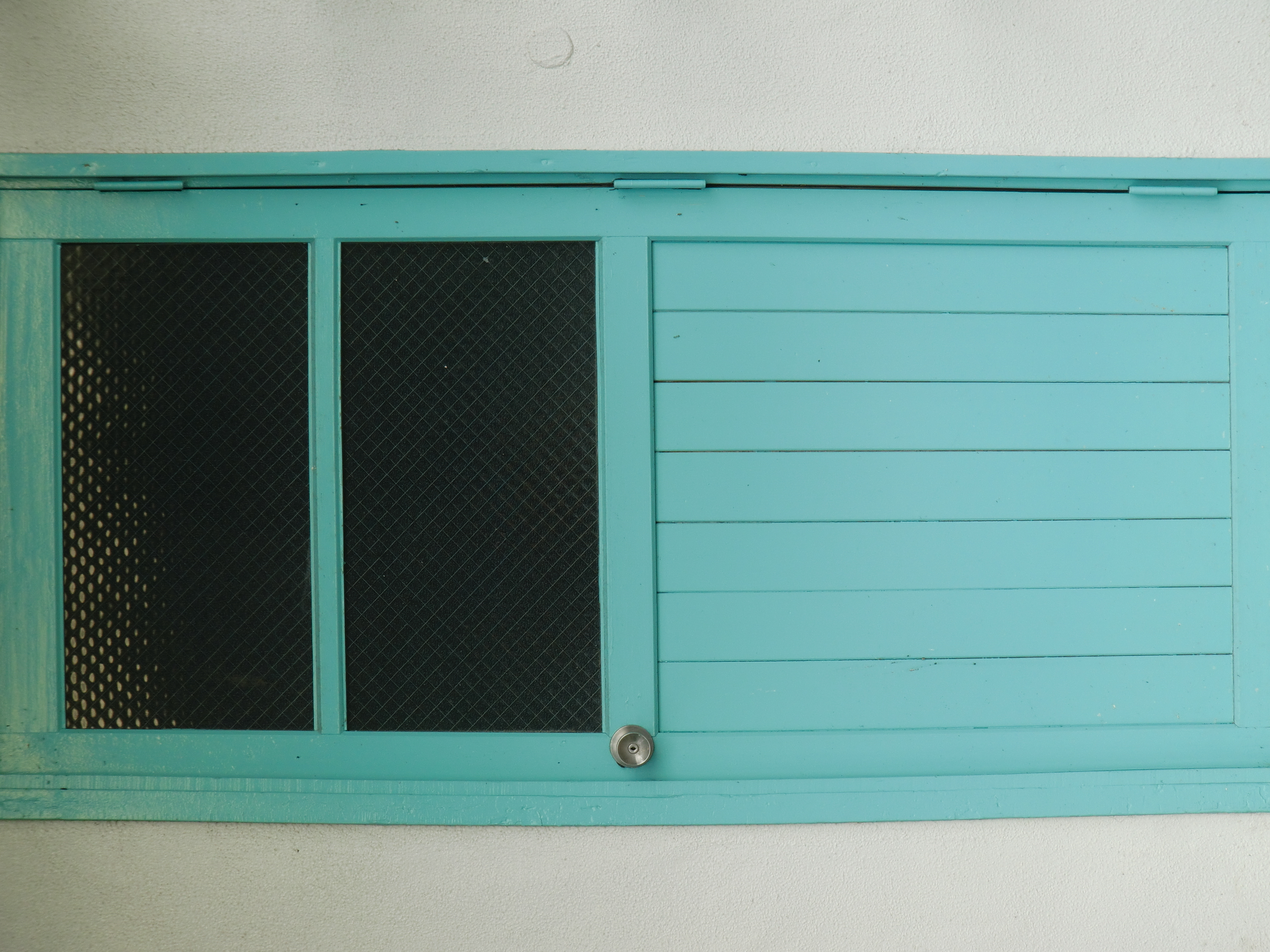 <b>20mm（114mm相当）<br>EX-G1 / 4,000×3,000 / 1/25秒 / F5.4 / 0EV / ISO64 / WB:太陽光</b>