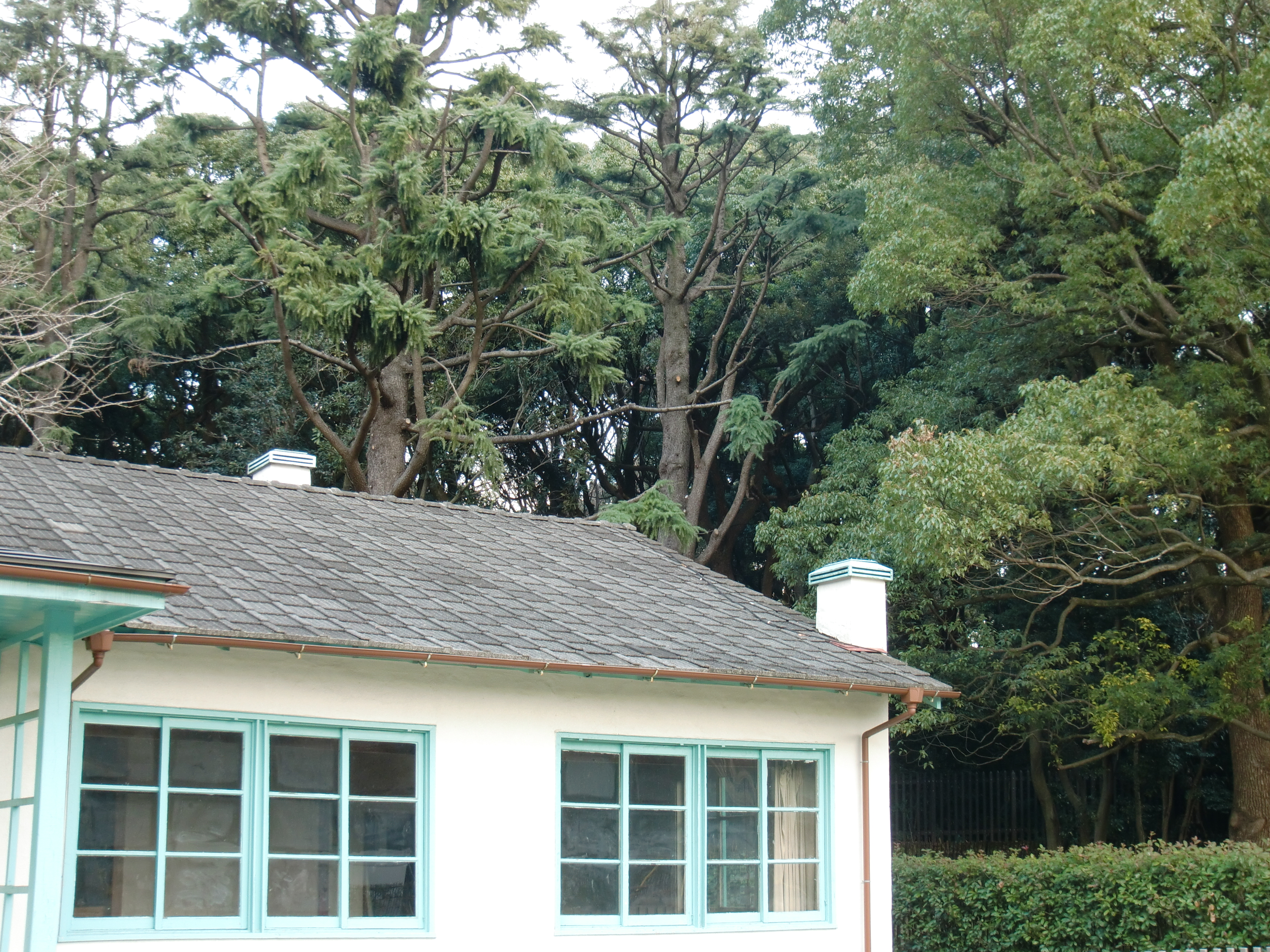 <b>カラーフィルター：オフ</b>