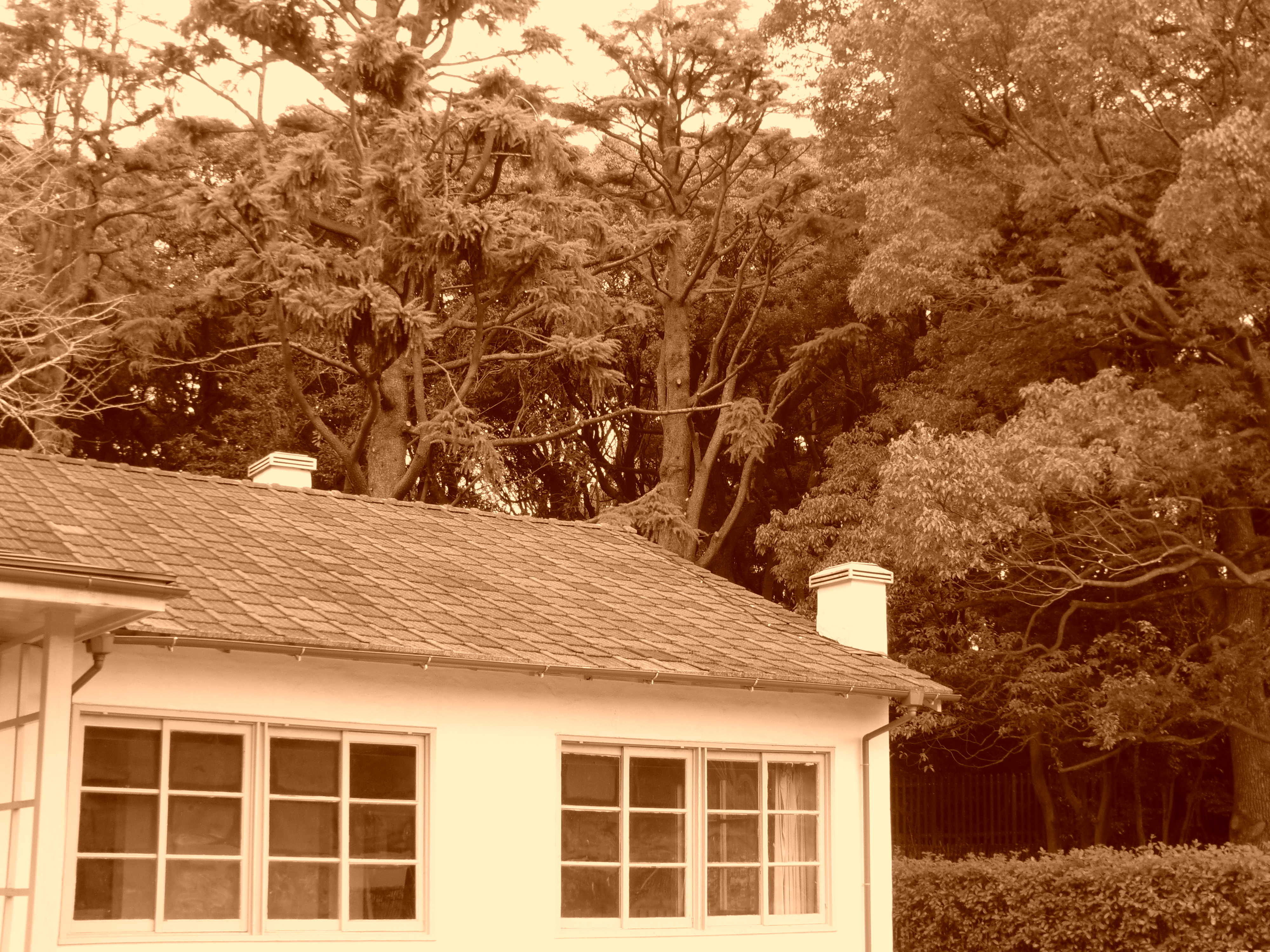 <b>カラーフィルター：セピア</b>