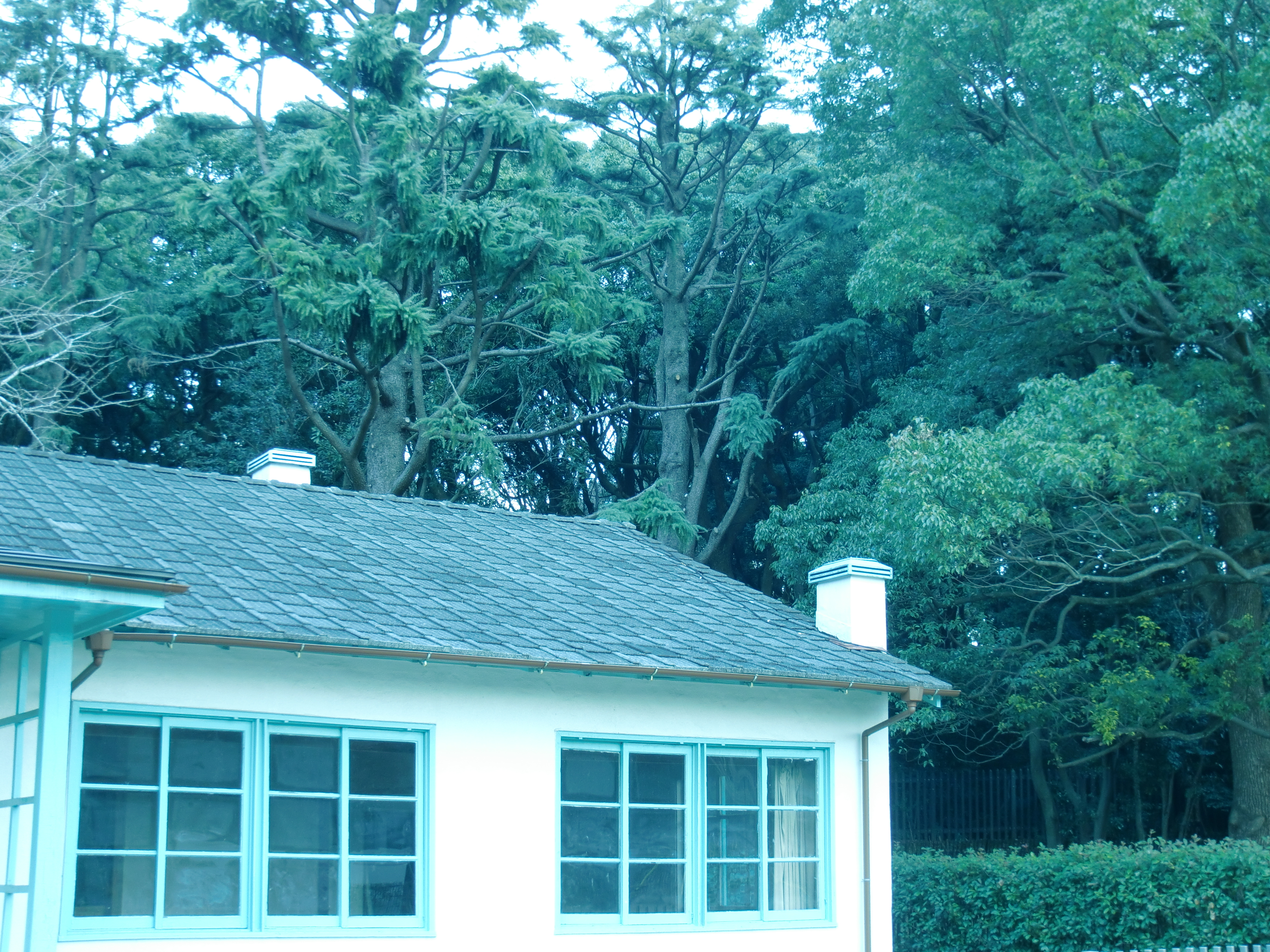 <b>カラーフィルター：青</b>