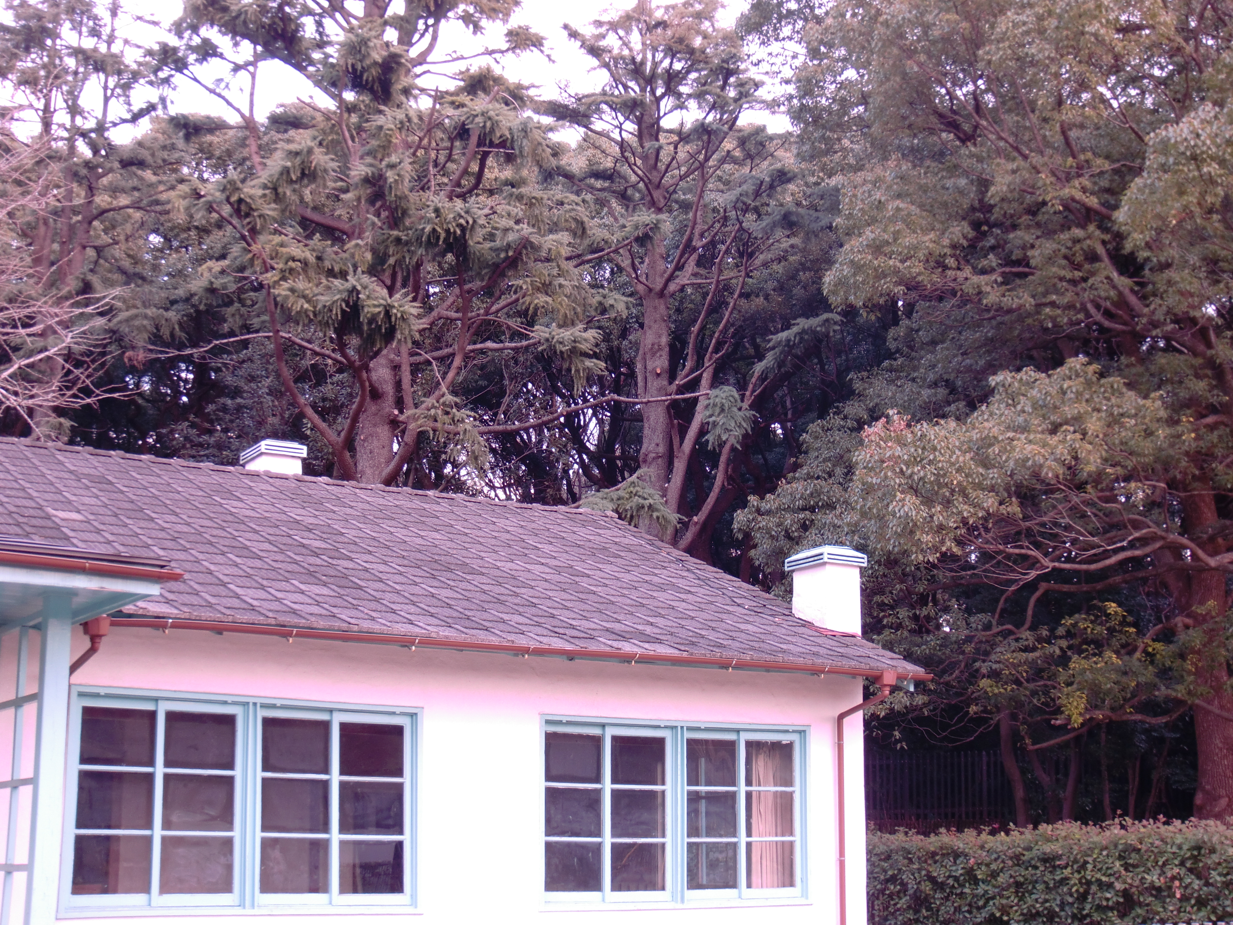 <b>カラーフィルター：ピンク</b>