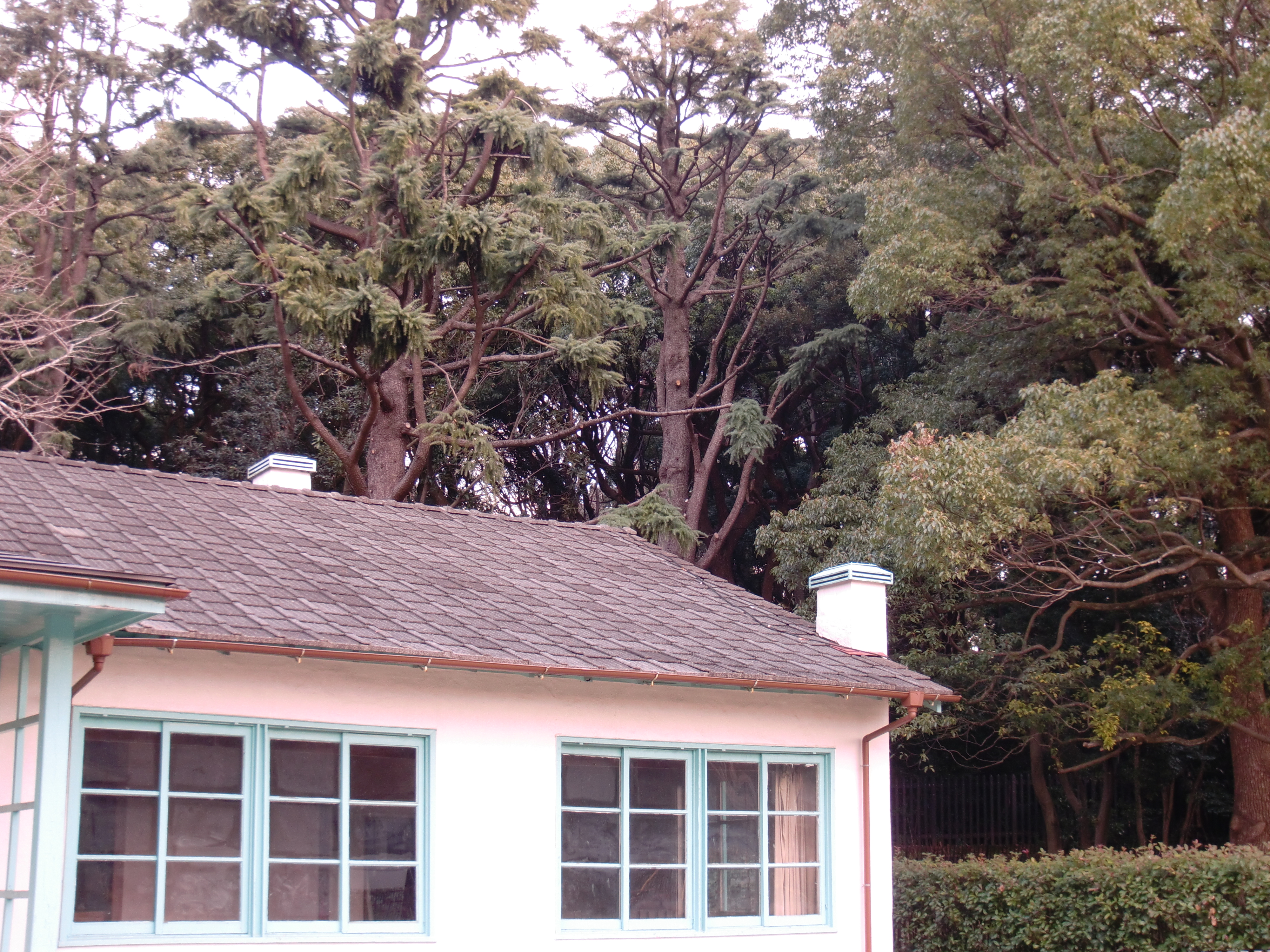 <b>カラーフィルター：紫</b>