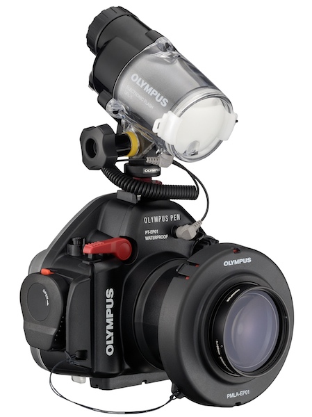 <b>水中専用ストロボ「UFL-2」との組み合わせ例</b>