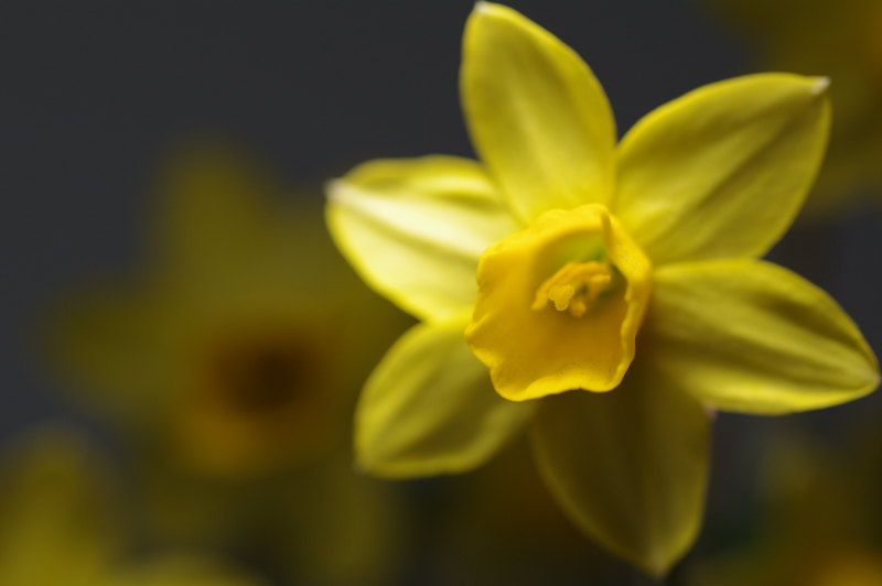 <b>上から照射</b>