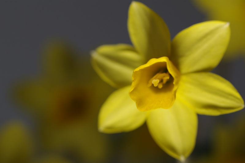 <b>下から照射</b>