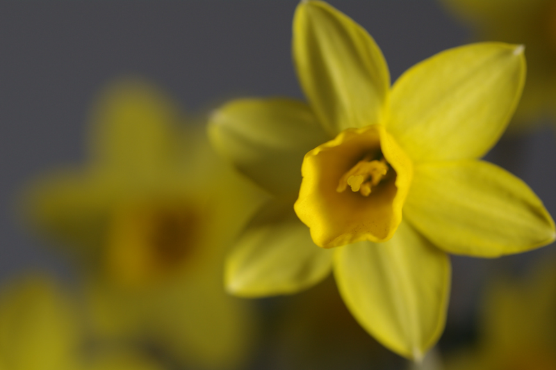 <b>右から照射</b>