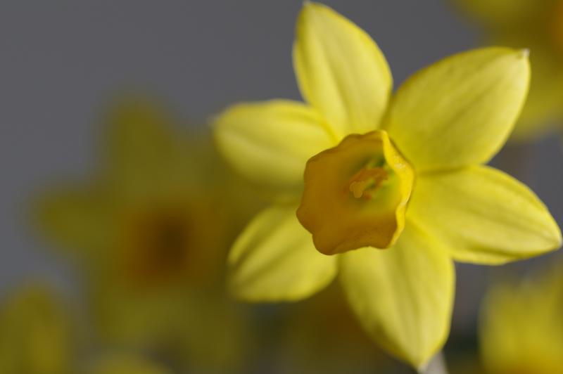 <b>右奥から照射</b>