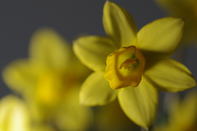 <b>左奥から照射</b>