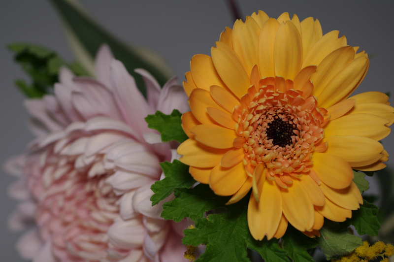 <b>正面から照射</b>