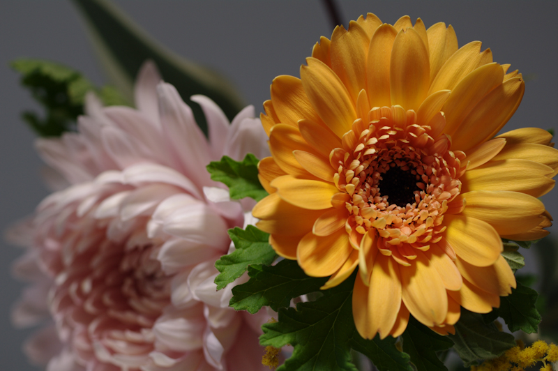 <b>上から照射</b>