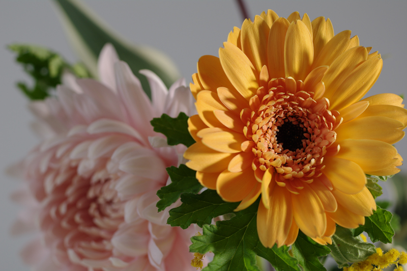 <b>右から照射</b>