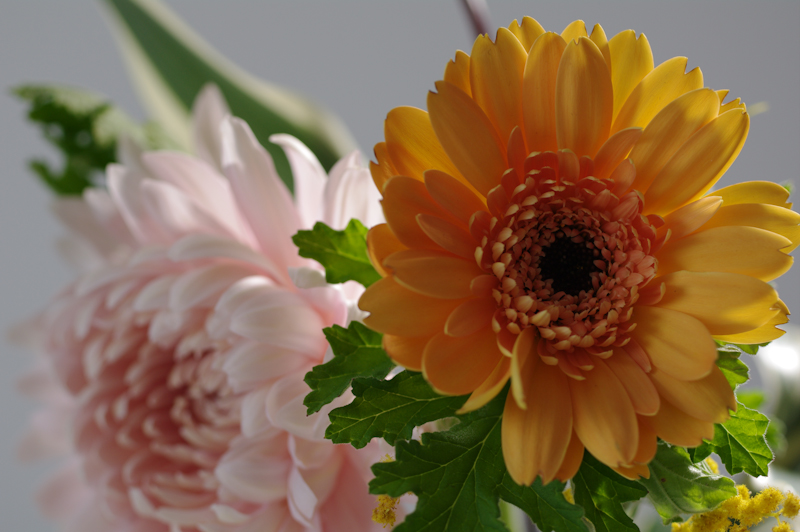 <b>右奥から照射</b>