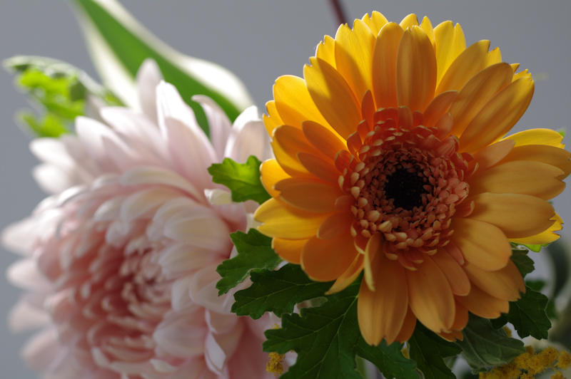 <b>左奥から照射</b>