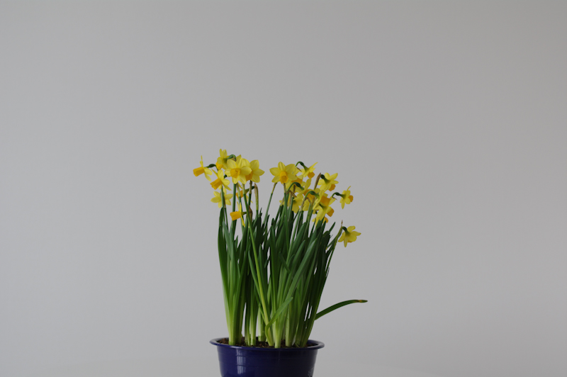 <b>距離1.5m（照射なし）</b>