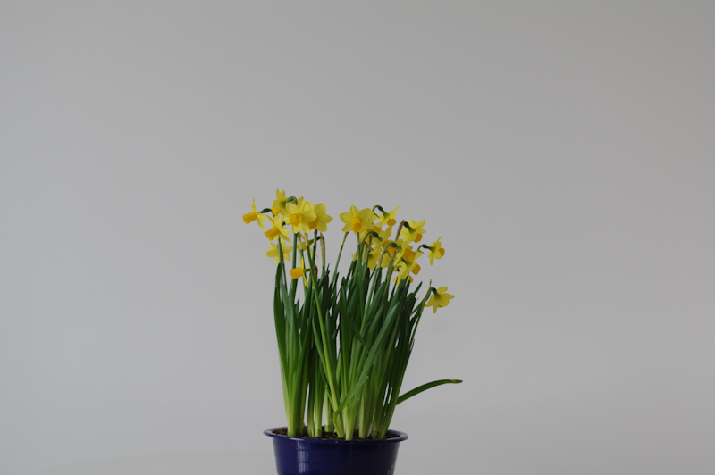 <b>距離1.5m（光量弱）</b>