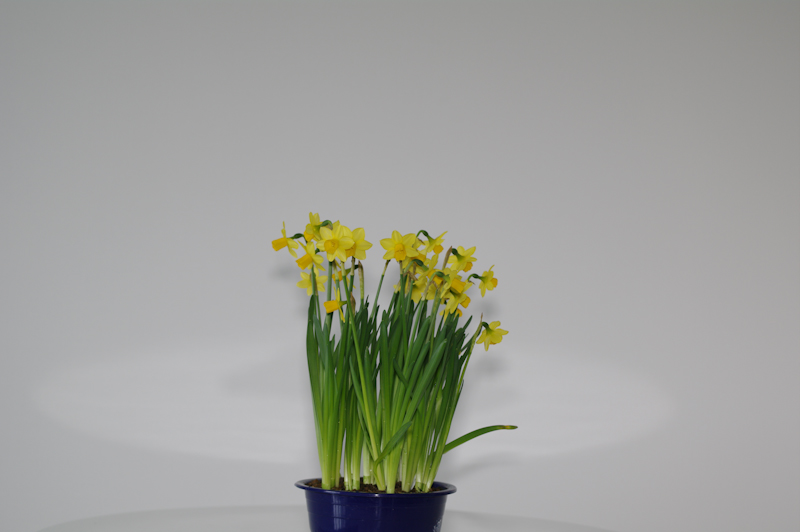 <b>距離1.5m（光量強）</b>