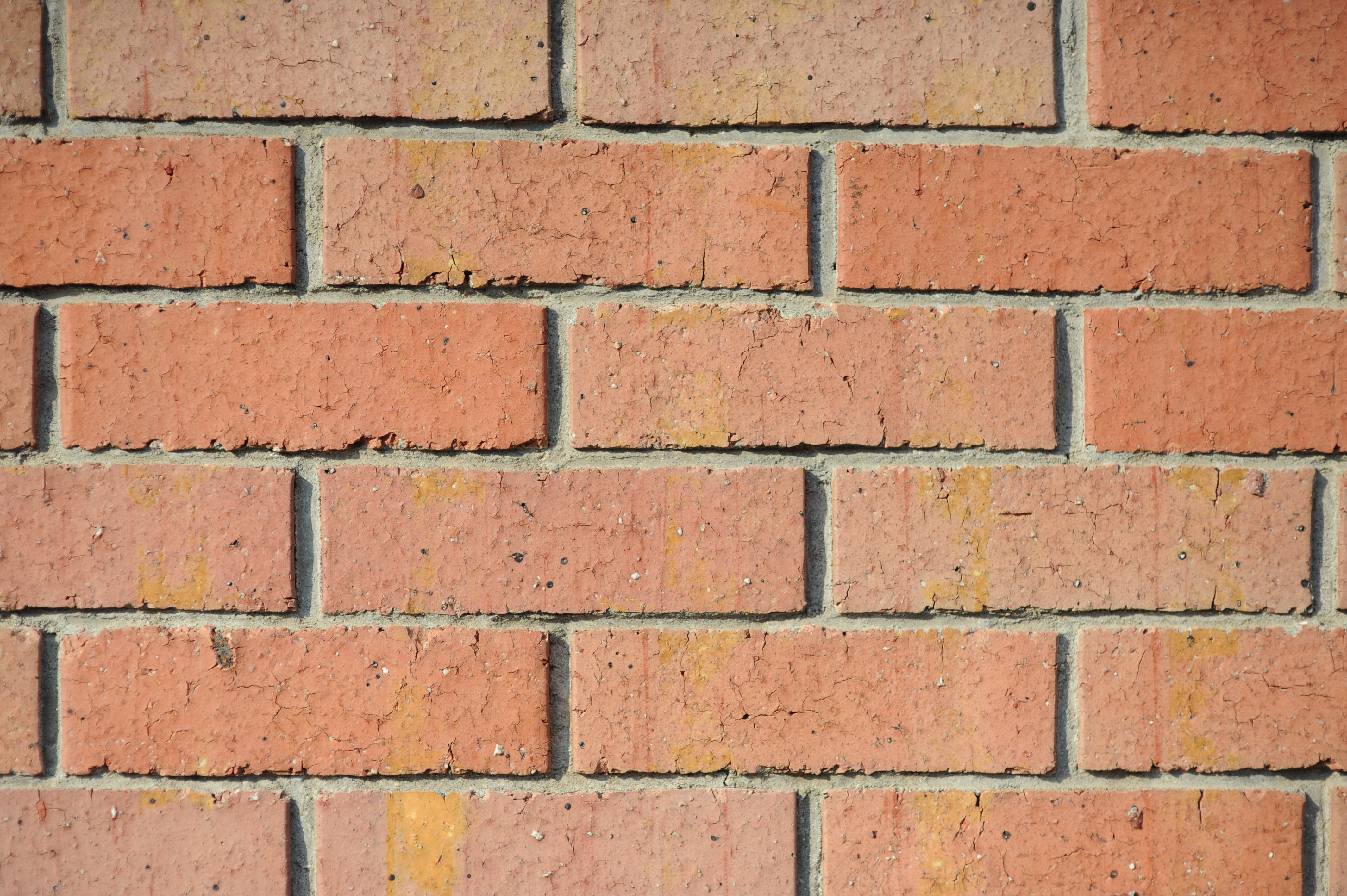 <b>F2<br>D700 / Ai AF Nikkor 85mm F1.4 D（IF）/ 4,256×2,832 / 1/4,000秒 / 0EV / ISO200 / WB:オート</b>