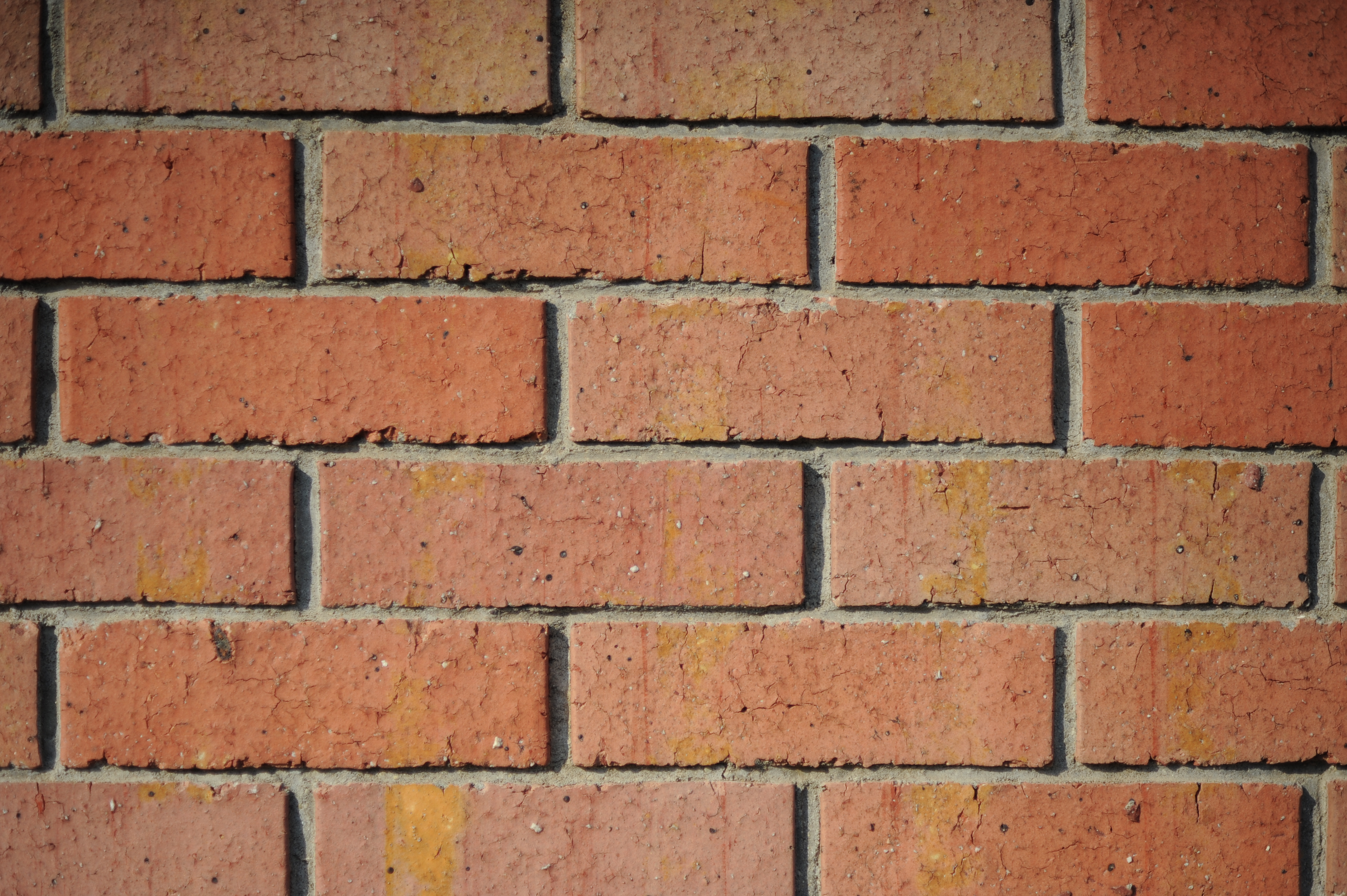 <b>F1.8<br>D700 / Ai AF Nikkor 85mm F1.8 D / 4,256×2,832 / 1/8,000秒 / -0.3EV / ISO200 / WB:オート</b>