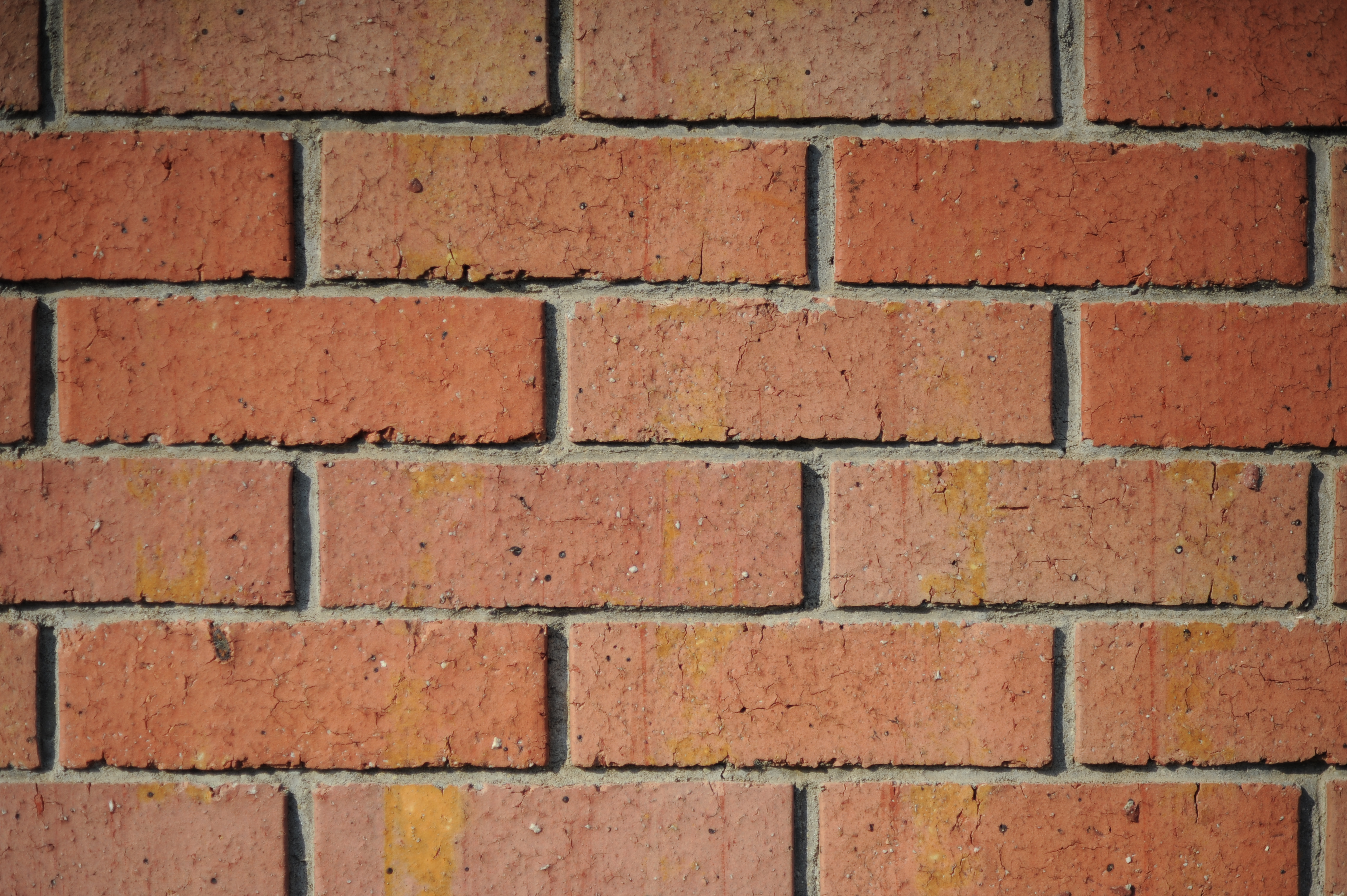 <b>F2<br>D700 / Ai AF Nikkor 85mm F1.8 D / 4,256×2,832 / 1/8,000秒 / -1EV / ISO200 / WB:オート</b>