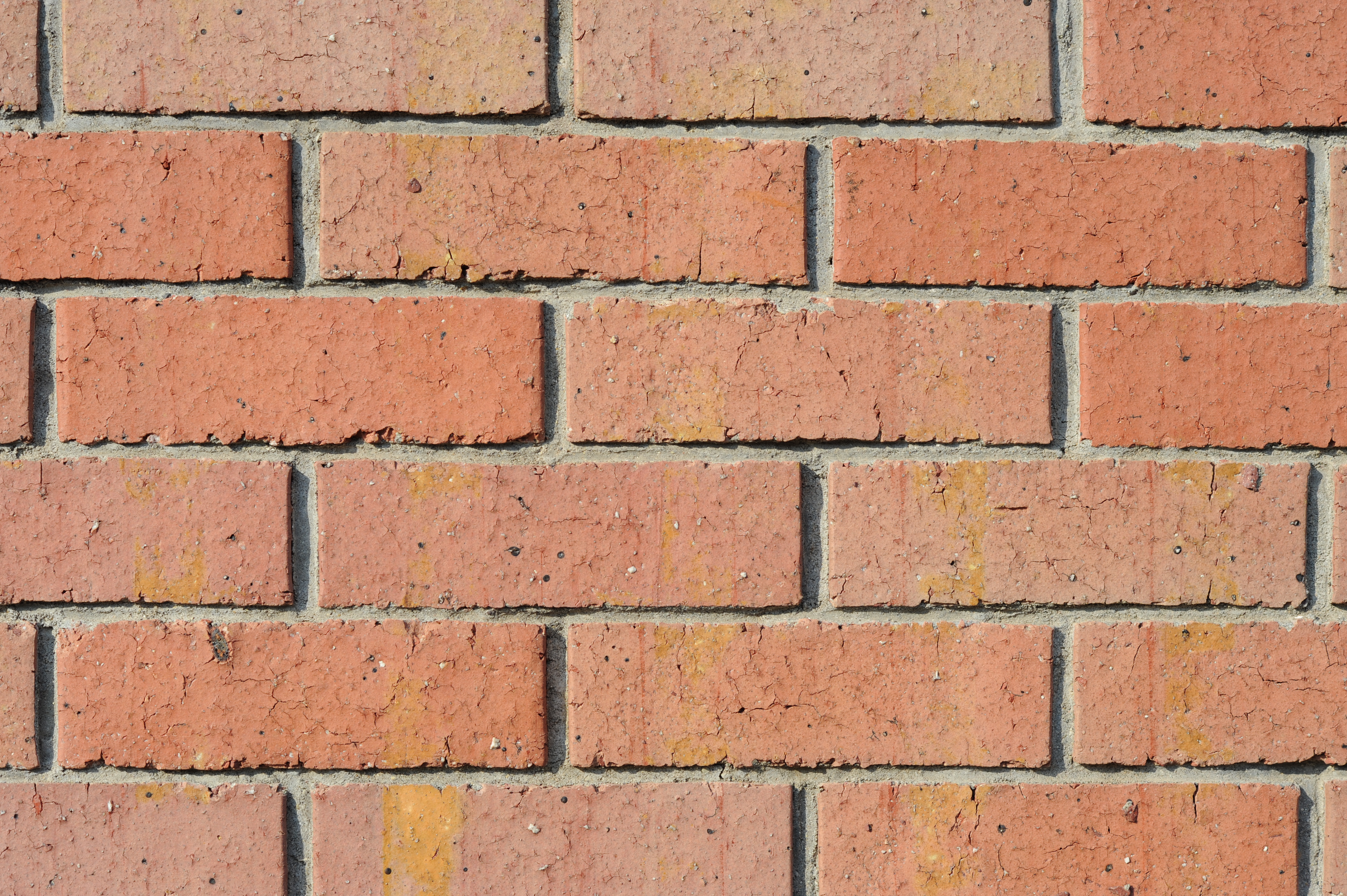 <b>F5.6<br>D700 / Ai AF Nikkor 85mm F1.8 D / 4,256×2,832 / 1/1,000秒 / -0.3EV / ISO200 / WB:オート</b>