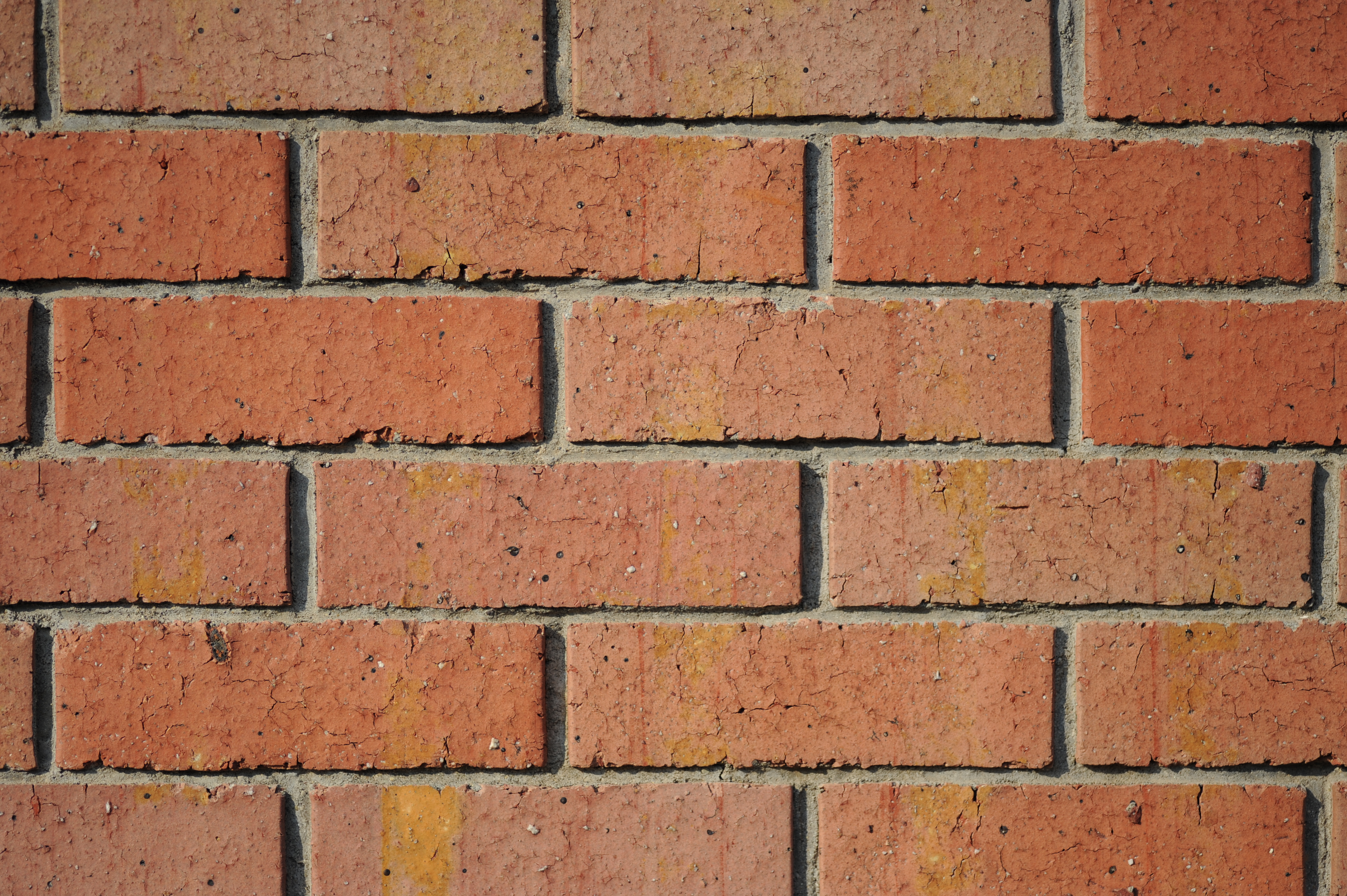 <b>F3<br>D700 / AT-X M100 PRO D / 4,256×2,832 / 1/2,500秒 / -1EV / ISO200 / WB:オート</b>