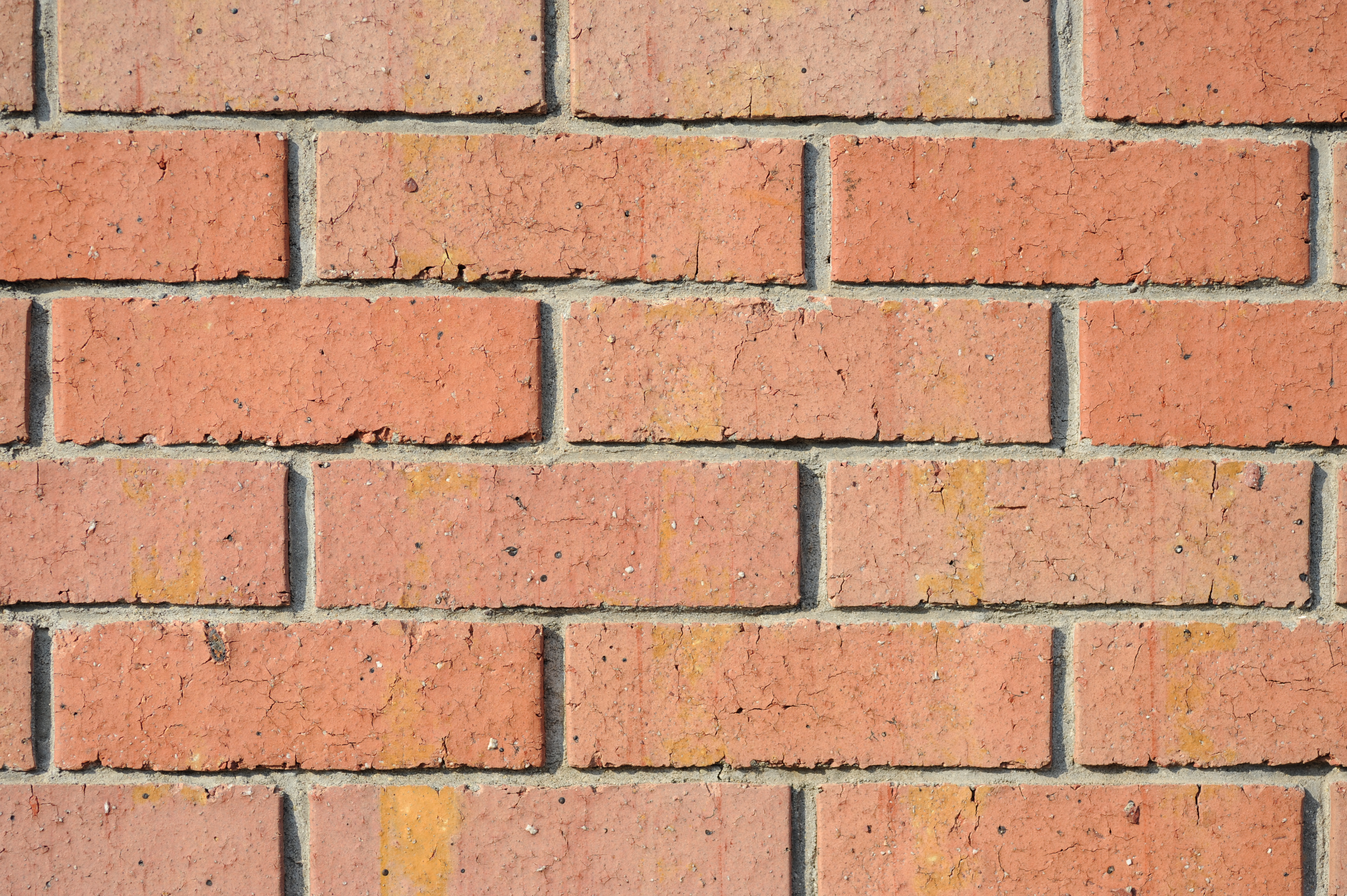 <b>F5.6<br>D700 / AT-X M100 PRO D / 4,256×2,832 / 1/800秒 / -1EV / ISO200 / WB:オート</b>