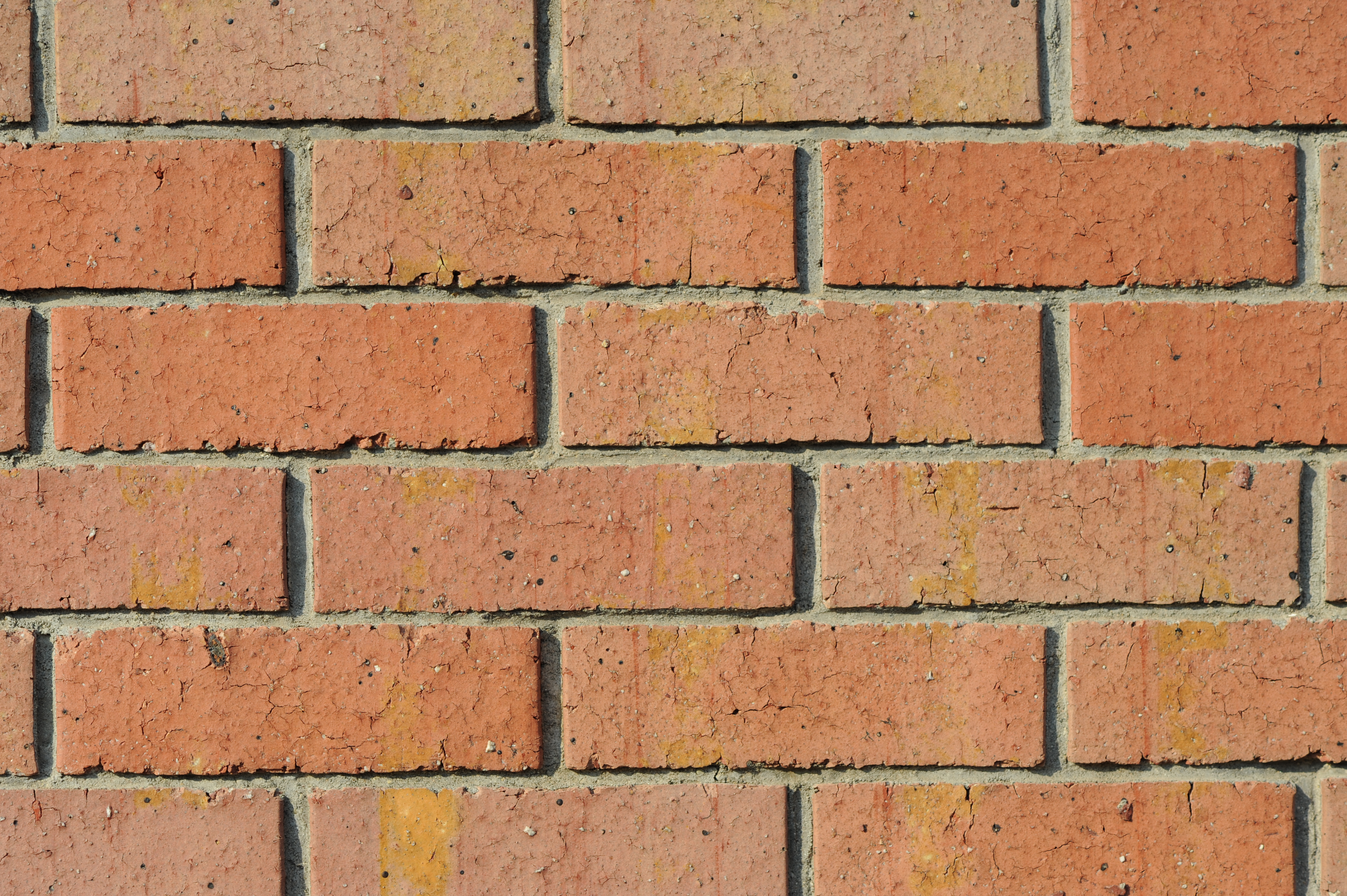 <b>F4<br>D700 / Ai AF DC Nikkor 105mm F2 D / 4,256×2,832 / 1/1,600秒 / 0EV / ISO200 / WB:オート</b>