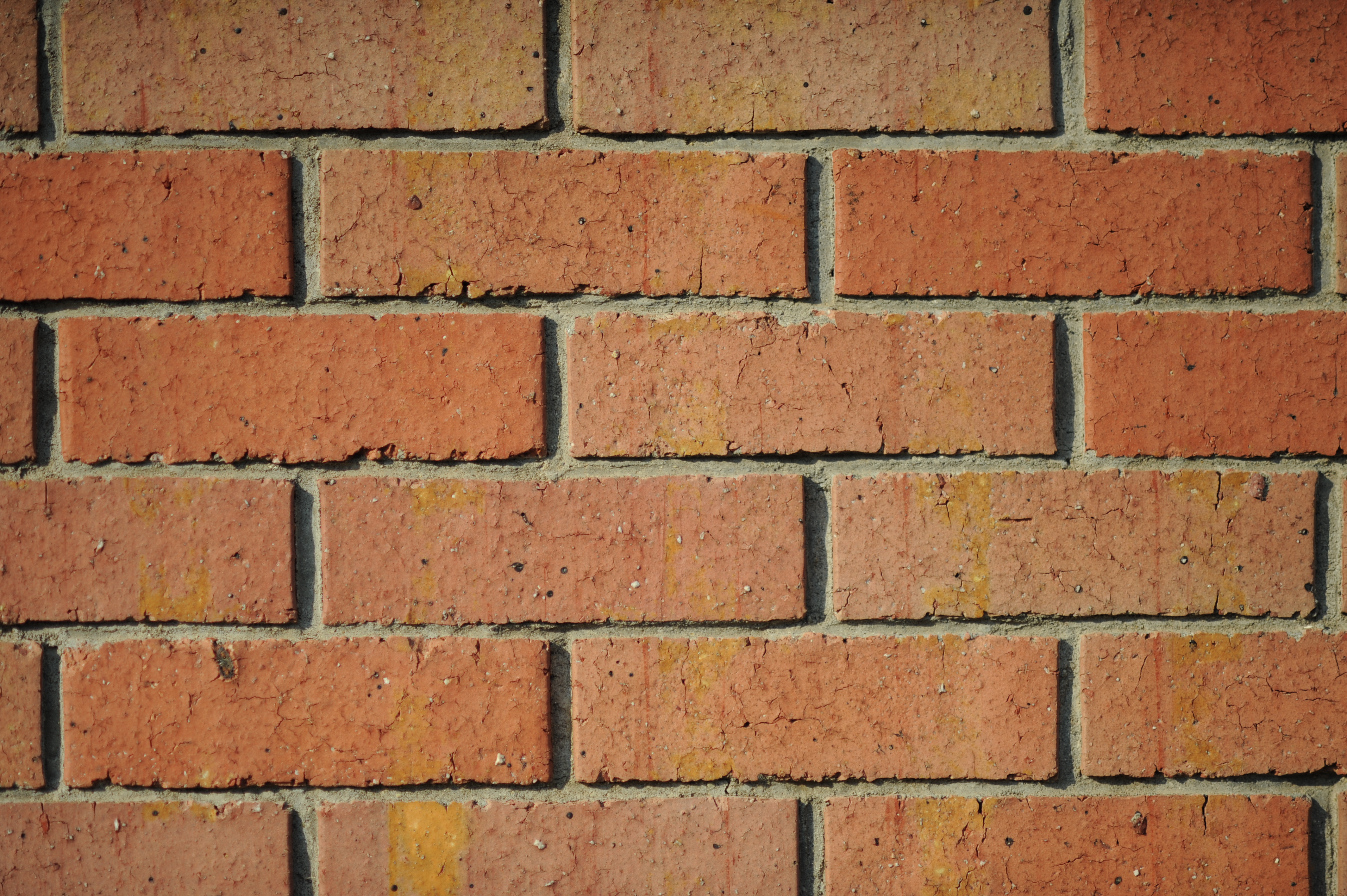 <b>F2<br>D700 / Ai AF DC Nikkor 135mm F2 D / 4,256×2,832 / 1/5,000秒 / -0.3EV / ISO200 / WB:オート</b>