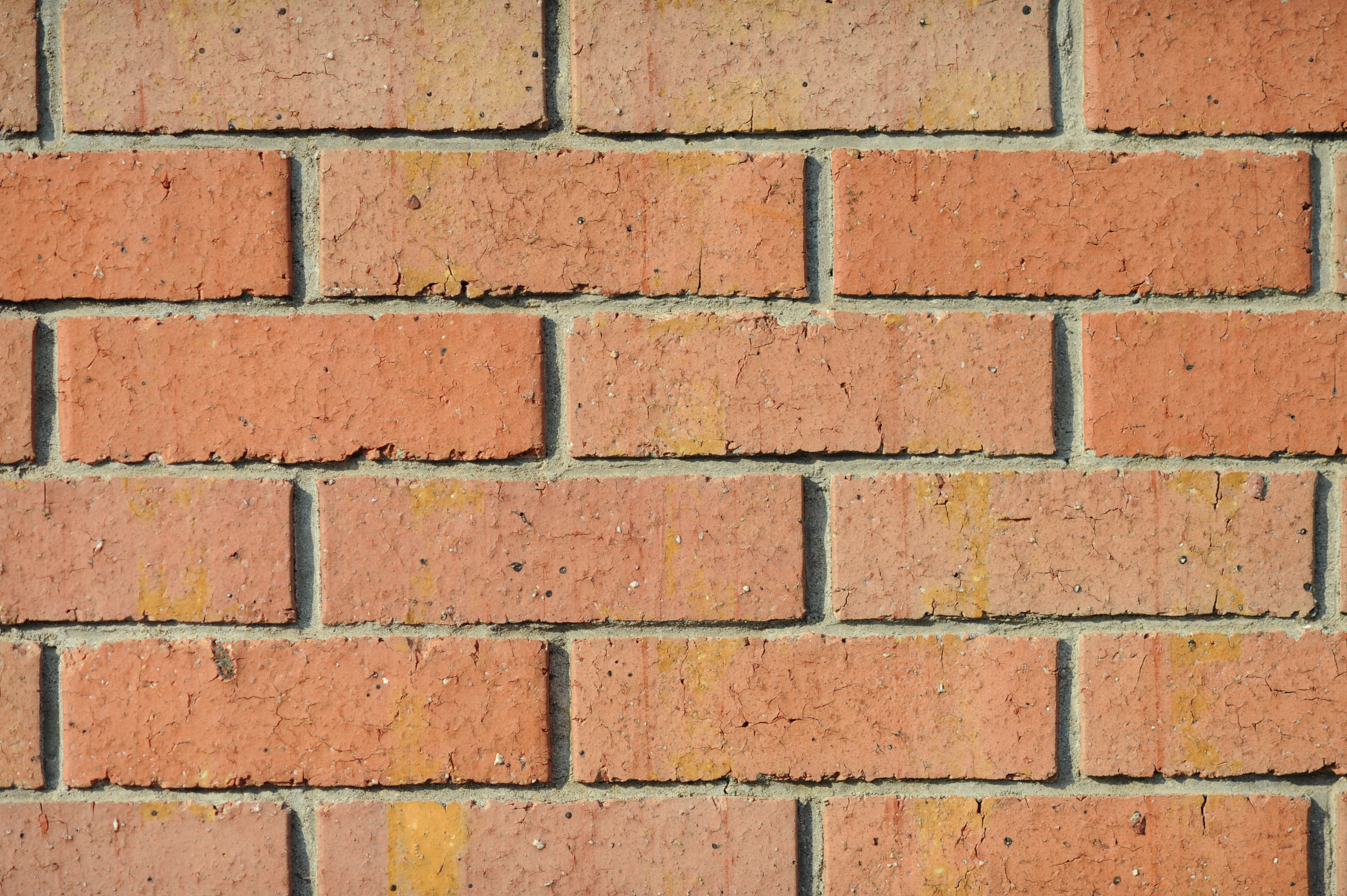 <b>F2.8<br>D700 / Ai AF DC Nikkor 135mm F2 D / 4,256×2,832 / 1/2,500秒 / 0EV / ISO200 / WB:オート</b>