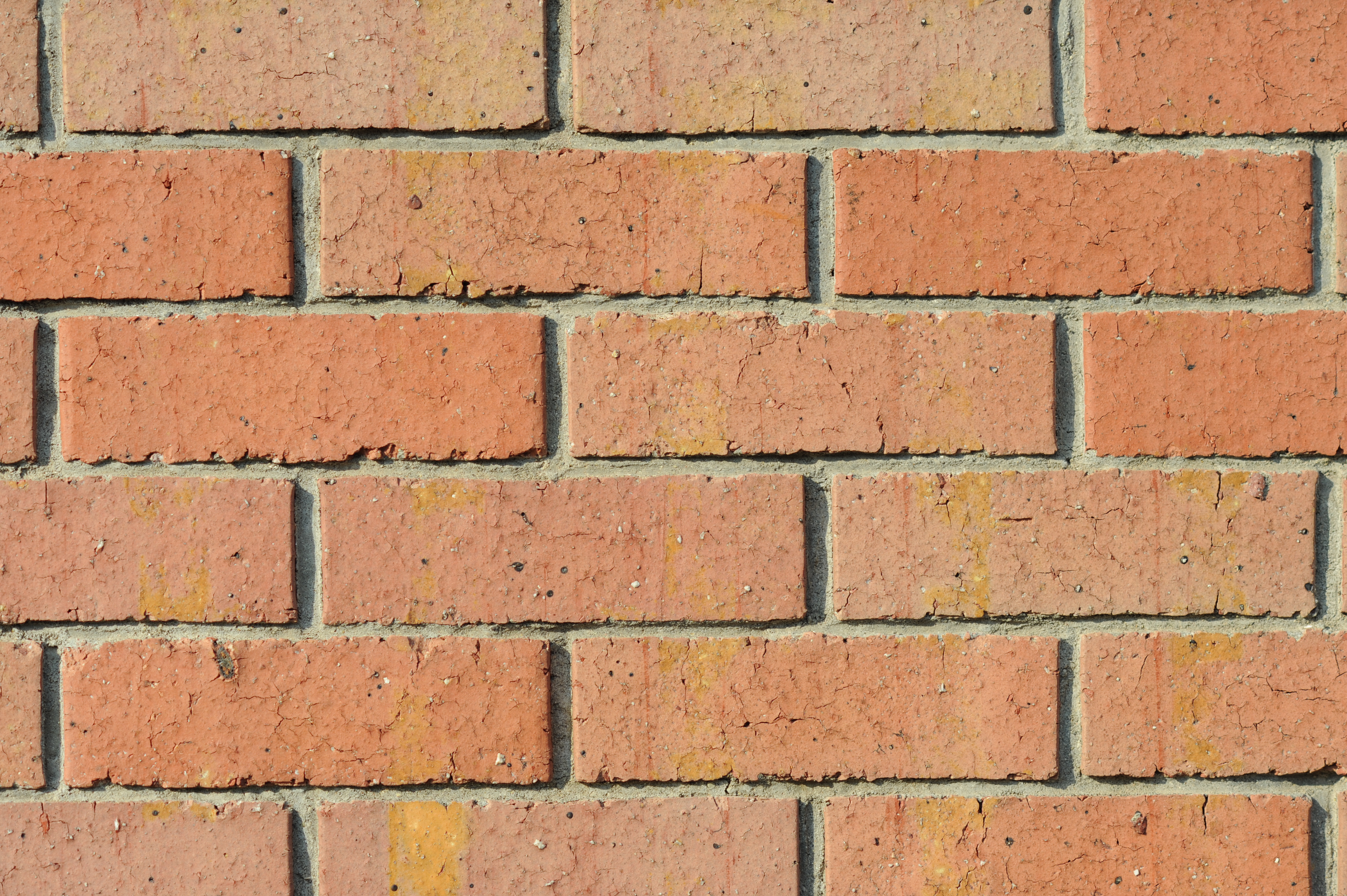 <b>F4<br>D700 / Ai AF DC Nikkor 135mm F2 D / 4,256×2,832 / 1/1,250秒 / 0EV / ISO200 / WB:オート</b>