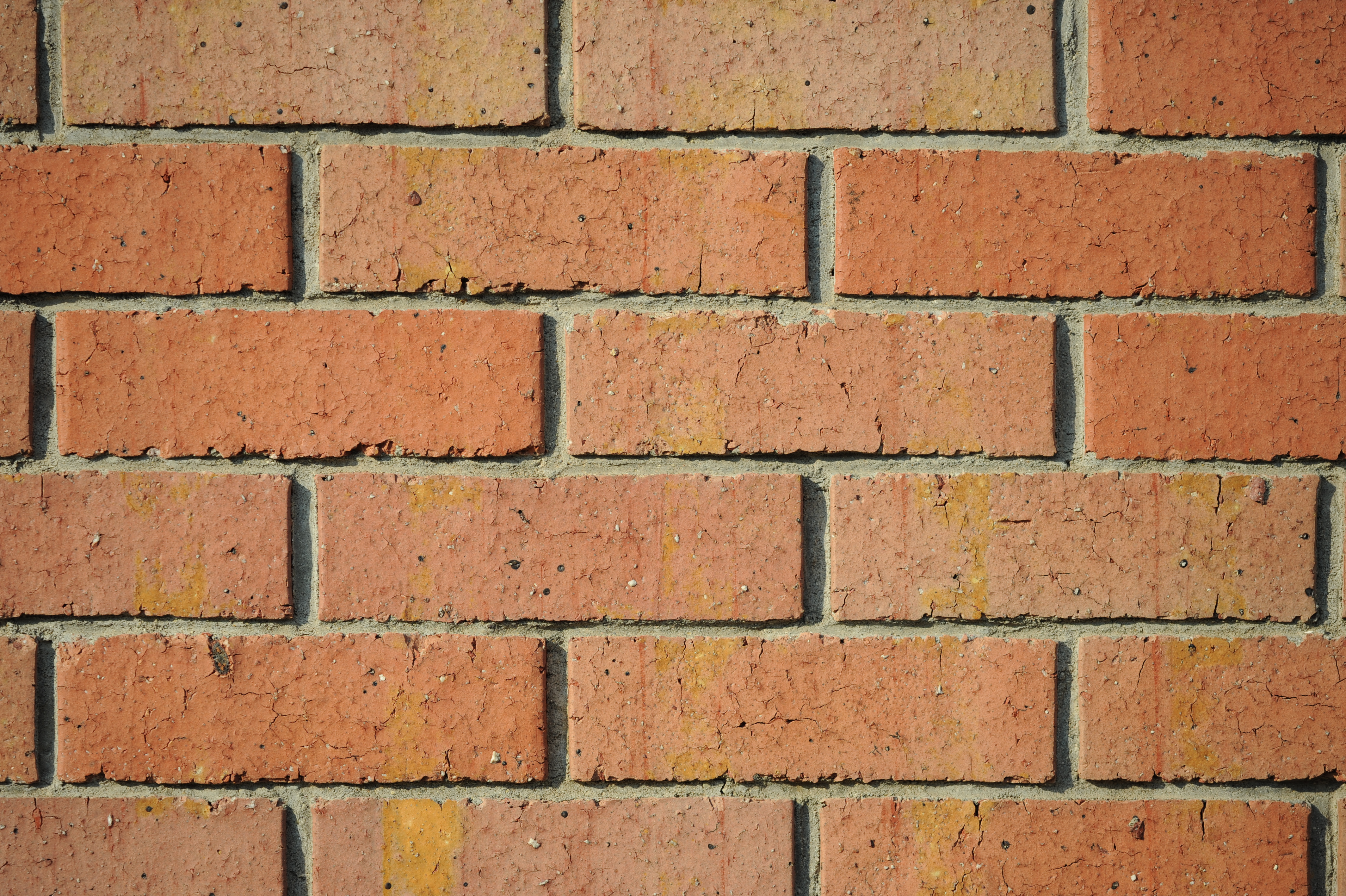 <b>F4<br>D700 / APO Macro 150mm F2.8 EX DG HSM / 4,256×2,832 / 1/1,250秒 / 0EV / ISO200 / WB:オート</b>