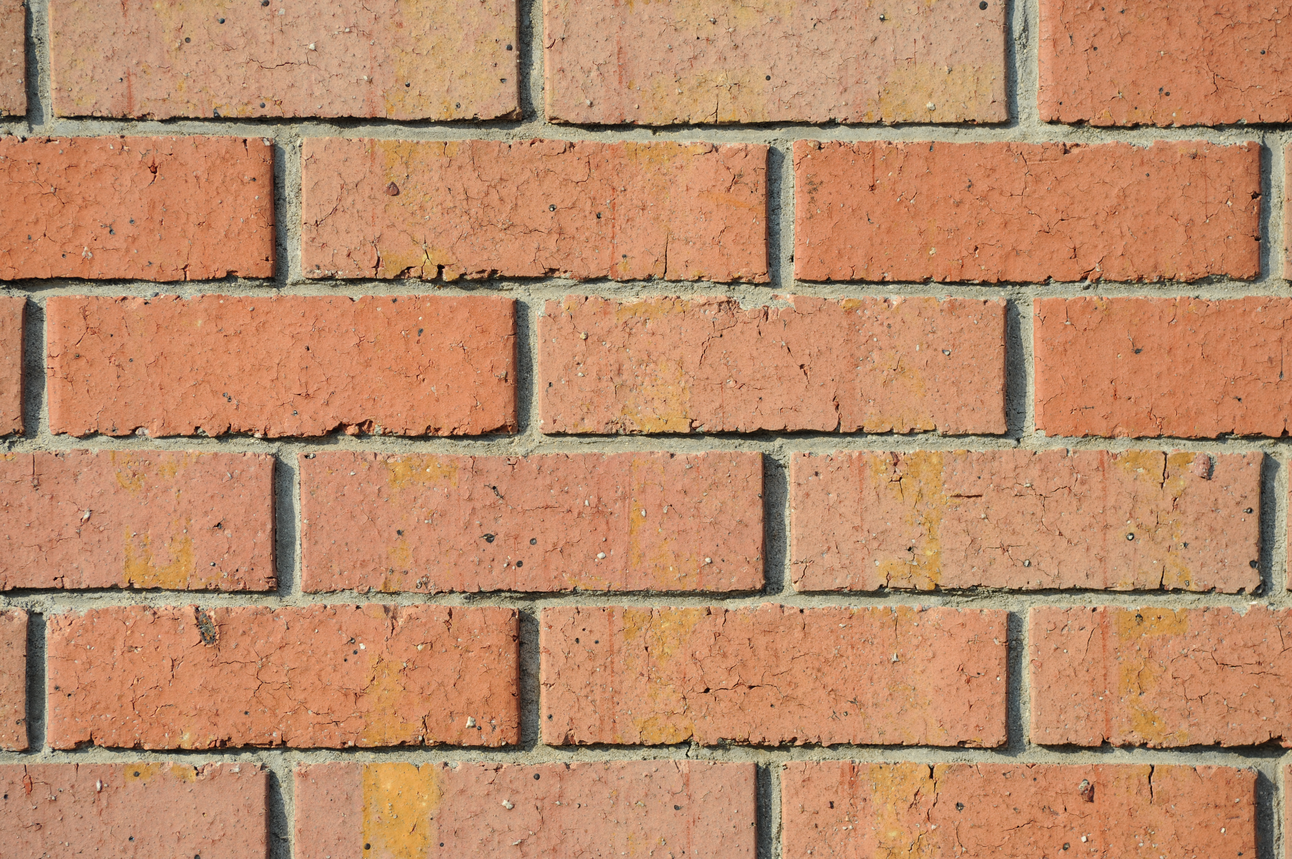 <b>F5.6<br>D700 / Ai AF Nikkor ED 180mm F2.8 D（IF）/ 4,256×2,832 / 1/640秒 / 0EV / ISO200 / WB:オート</b>