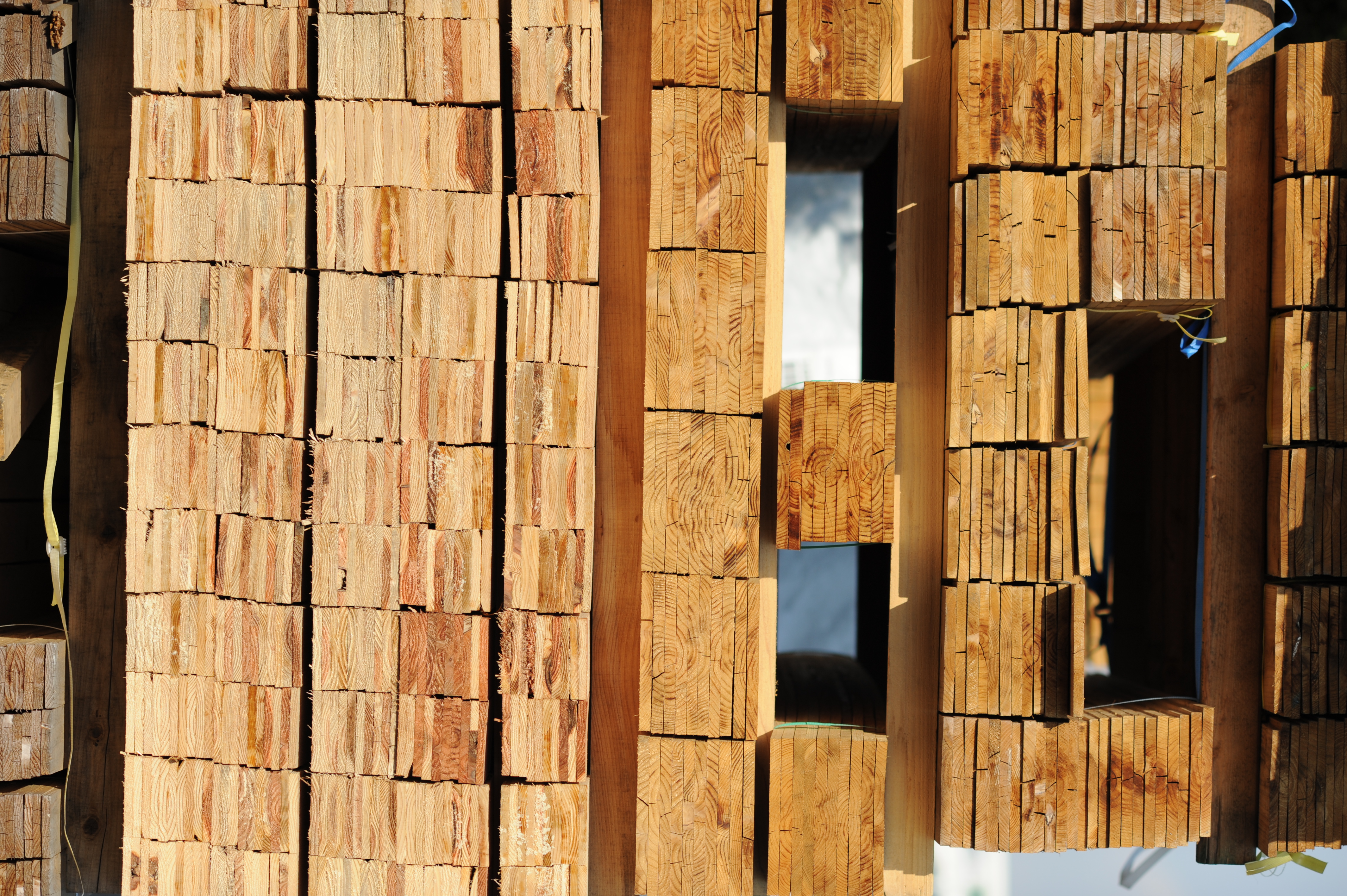 <b>D700 / Ai AF DC Nikkor 135mm F2 D / 4,256×2,832 / 1/2,000秒 / F4 / +0.7EV / ISO200 / WB:オート</b>