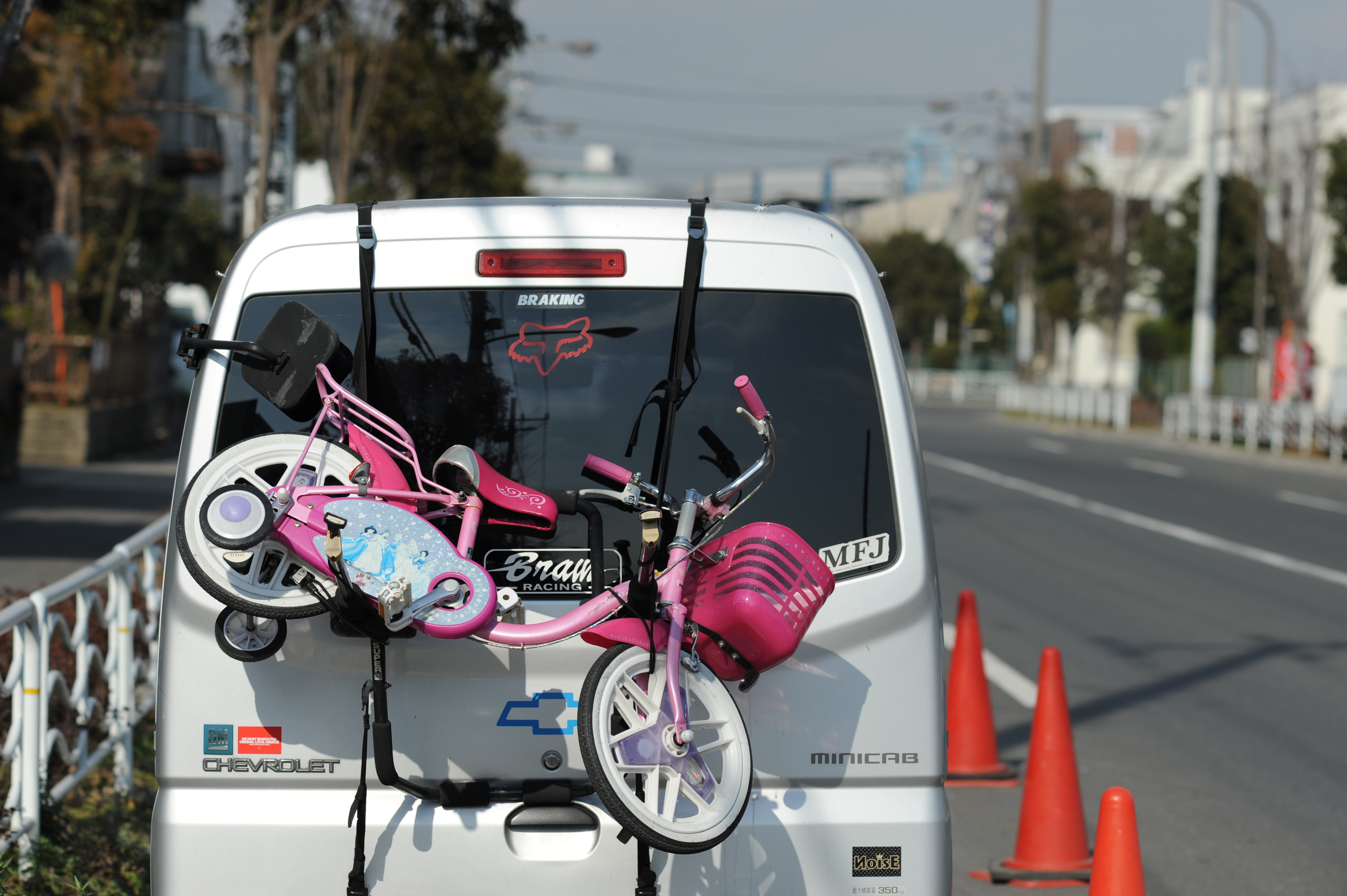 <b>D700 / Ai AF DC Nikkor 135mm F2 D / 4,256×2,832 / 1/2,000秒 / F5.6 / 0EV / ISO200 / WB:オート</b>