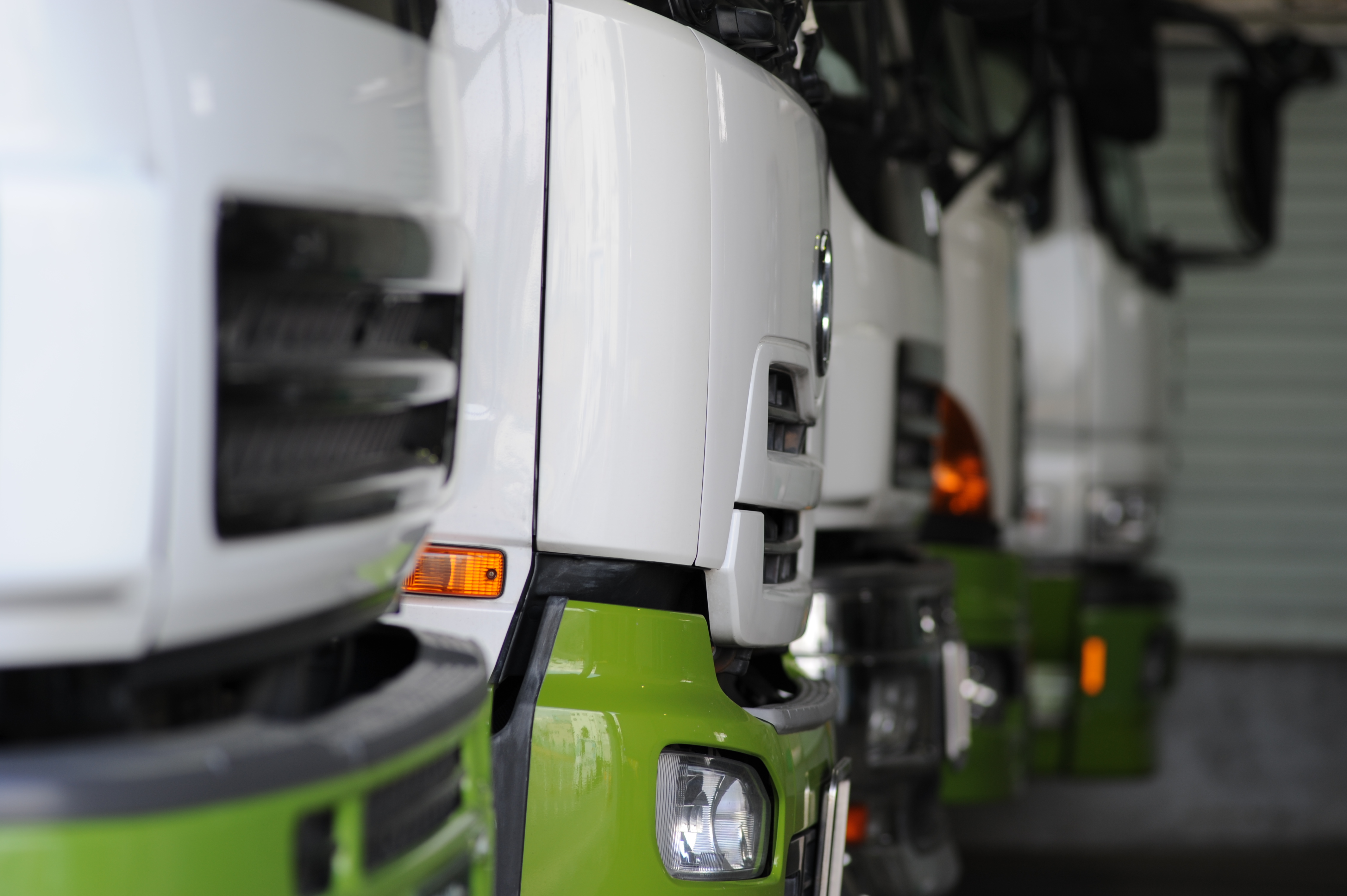 <b>D700 / Ai AF Nikkor ED 180mm F2.8 D（IF） / 4,256×2,832 / 1/200秒 / F4 / 0EV / ISO200 / WB:オート</b>