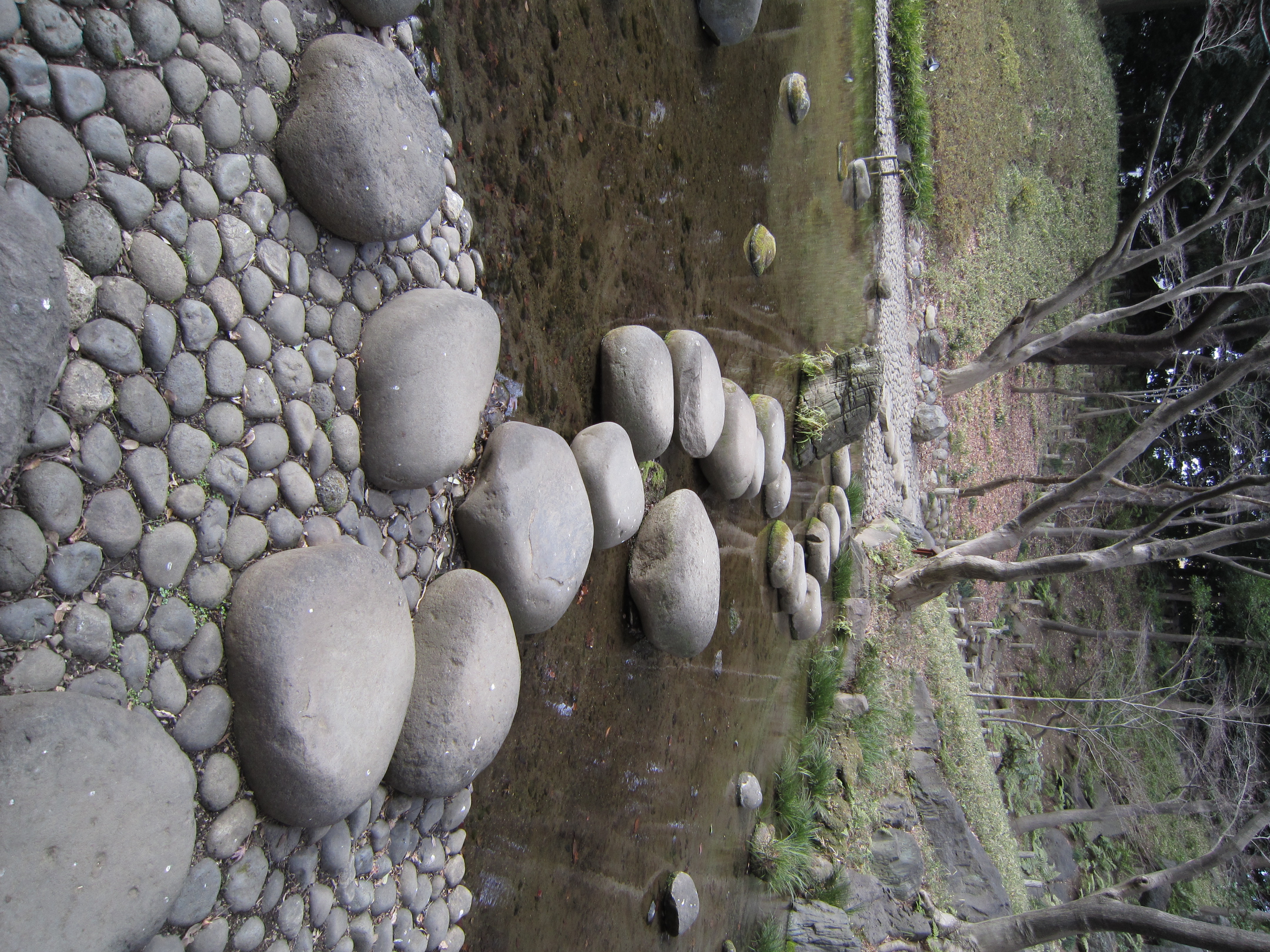 <b>通常<br>IXY 10S / 4,320×3,240 / 1/60秒 / F4 / -0.3EV / ISO80 / WB:オート / 4.3mm（24mm相当）</b>