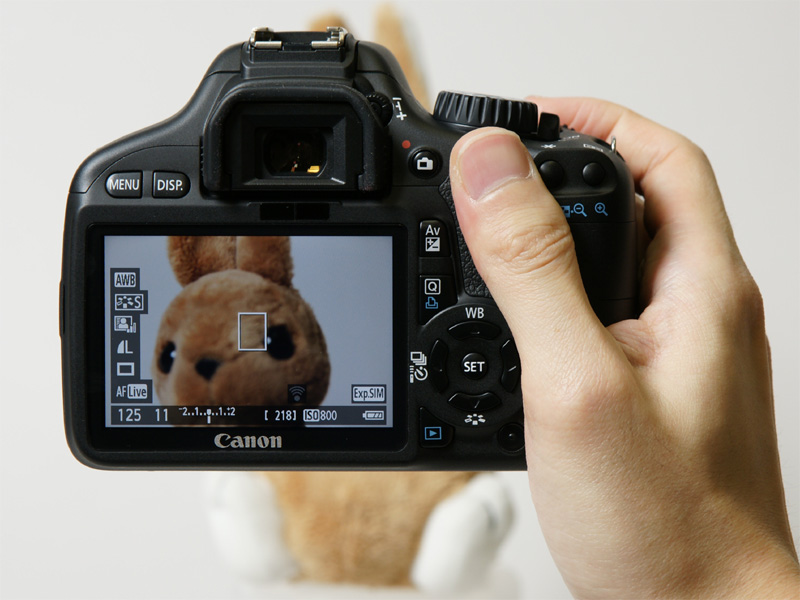 <b>ライブビュー撮影を行なっているところ</b>