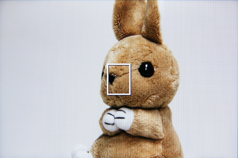 <b>ライブビュー撮影画面</b>