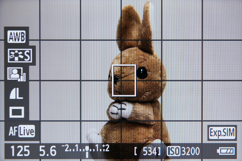 <b>グリッド2を表示しているところ</b>