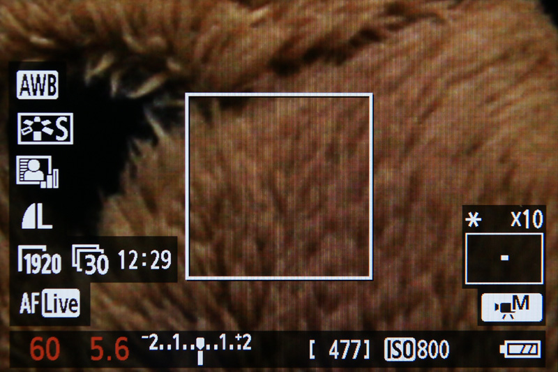 <b>ライブビューおよび動画撮影時は任意の位置を5倍もしくは10倍に拡大できる</b>