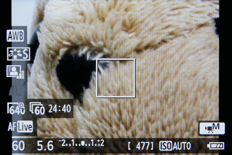 <b>センサー中央部のみを利用し、約7倍の望遠効果を得られる動画クロップ</b>