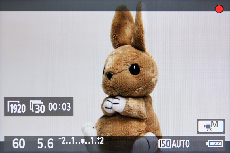 <b>動画撮影中。ヒストグラムは表示できない</b>