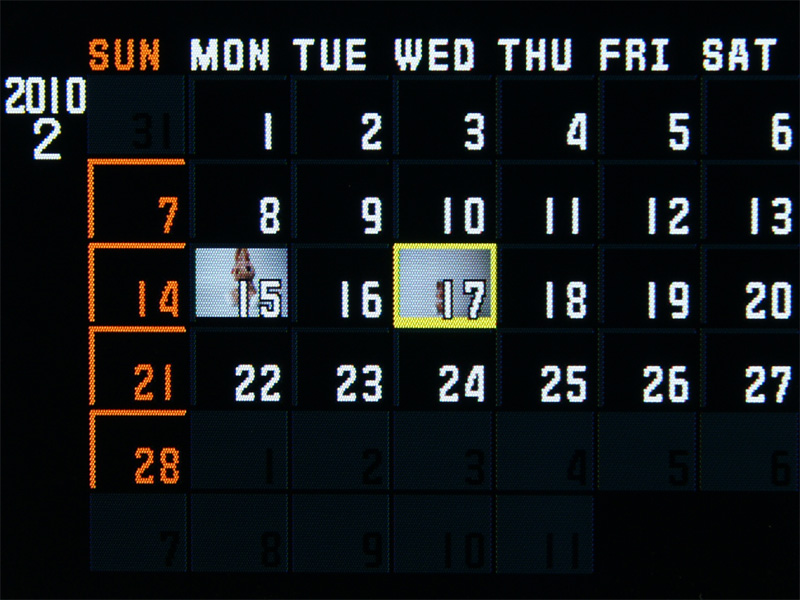 <b>カレンダー表示も行なえる</b>