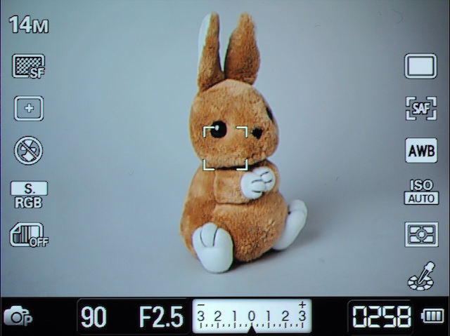 <b>プログラムモードでの表示例</b>