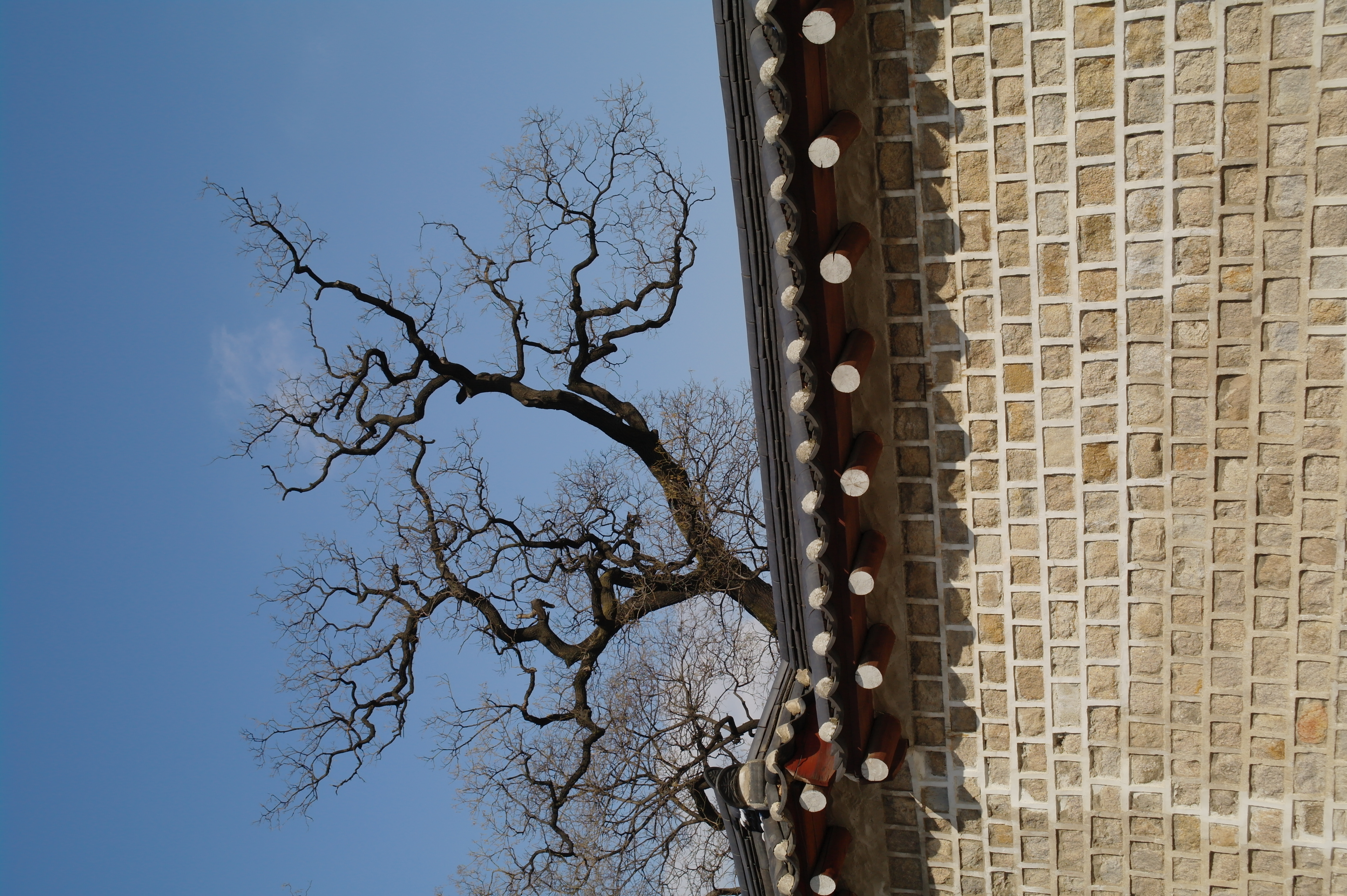 <b>NX10 / SAMSUNG ZOOM LENS 18-55mm F3.5-5.6 OIS / 約6.0MB / 3,056×4,592 / 1/500秒 / F8 / 0EV / ISO200 / WB:オート / 27mm</b>